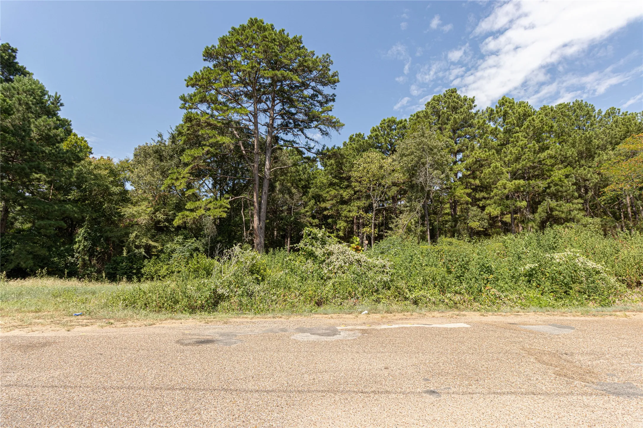 Unimproved Land For Sale in Henderson County , 000 VALLEY VIEW 1544ac, Frankston, Texas 75763, 0, 0, Garage spaces, 0 Sqft, built in 0, mls#21380076, Real Estate Agent in Frankston, Homes For Sale in Henderson county, Homes For Sale in Frankston, Realtor in Frankston Texas, Real Estate Brokerage Independent Realty Texas, Luminita Cordes Realtor