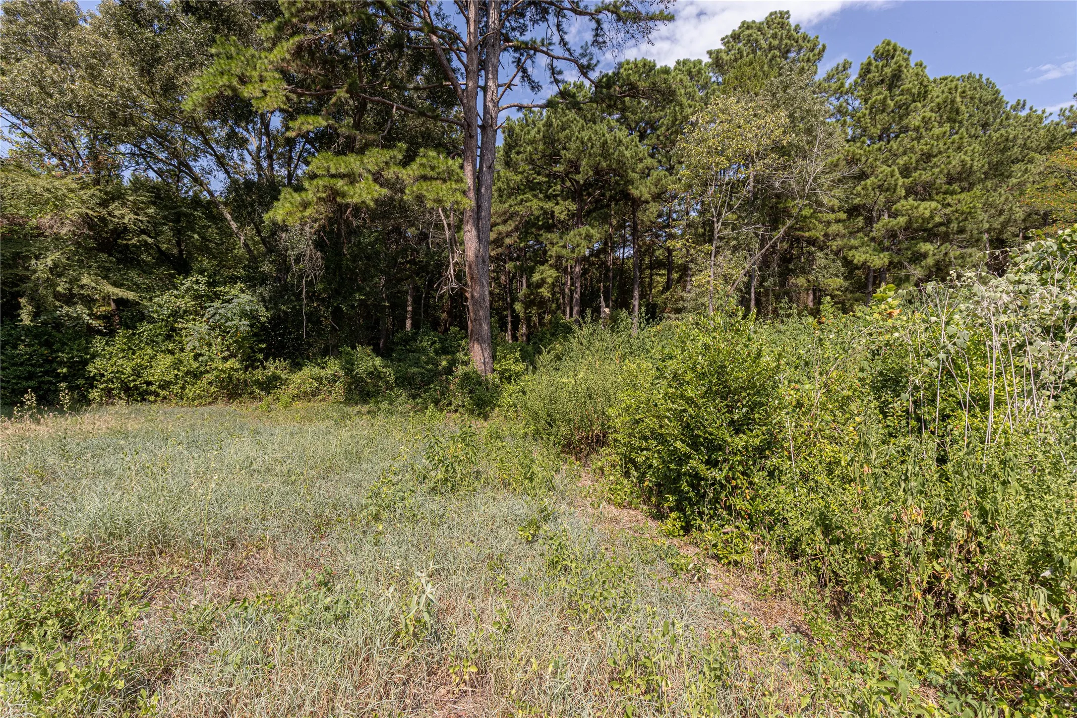 Unimproved Land For Sale in Henderson County , 000 VALLEY VIEW 1544ac, Frankston, Texas 75763, 0, 0, Garage spaces, 0 Sqft, built in 0, mls#21380076, Real Estate Agent in Frankston, Homes For Sale in Henderson county, Homes For Sale in Frankston, Realtor in Frankston Texas, Real Estate Brokerage Independent Realty Texas, Luminita Cordes Realtor