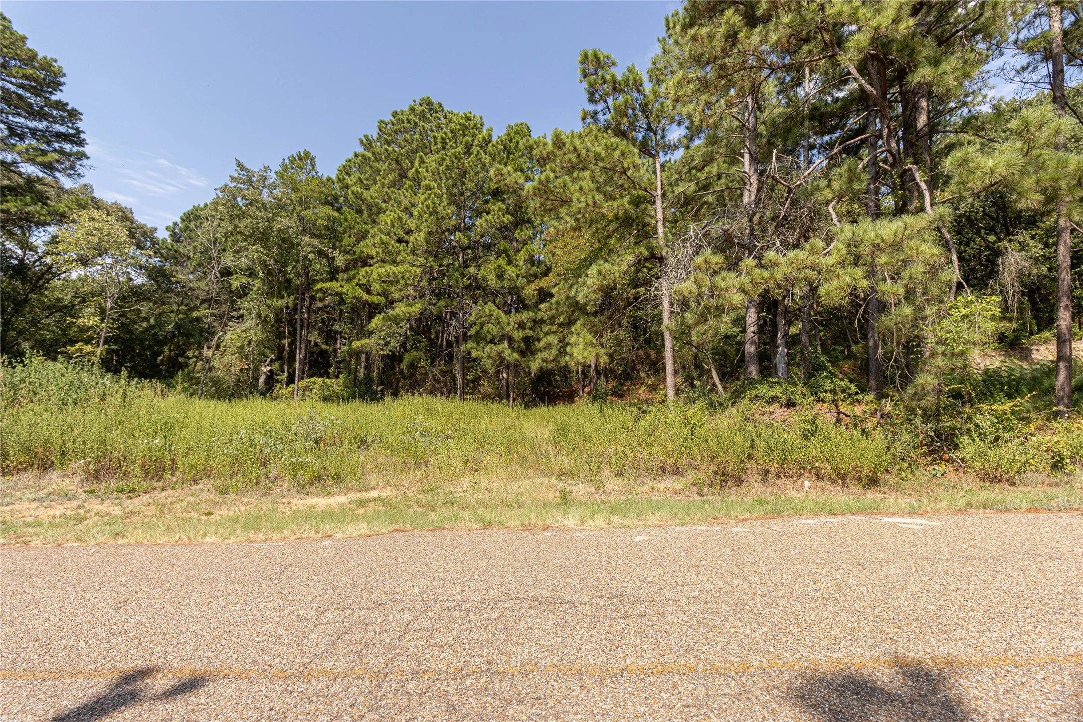 Unimproved Land For Sale in Henderson County , 000 VALLEY VIEW 238292, Frankston, Texas 75763, 0, 0, Garage spaces, 0 Sqft, built in 0, mls#21380068, Real Estate Agent in Frankston, Homes For Sale in Henderson county, Homes For Sale in Frankston, Realtor in Frankston Texas, Real Estate Brokerage Independent Realty Texas, Luminita Cordes Realtor