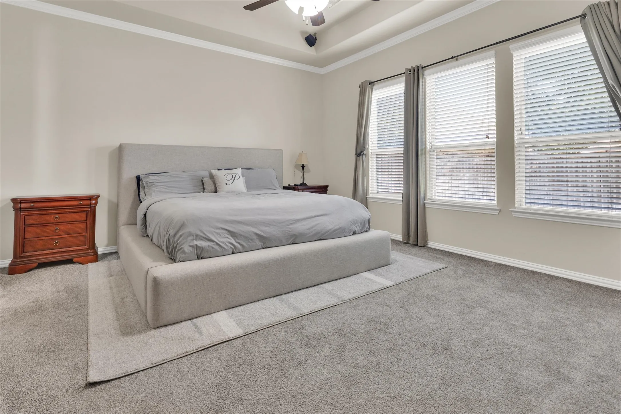 Tray ceiling with crown molding, ceiling fan, three windows with blinds, and neutral carpeting