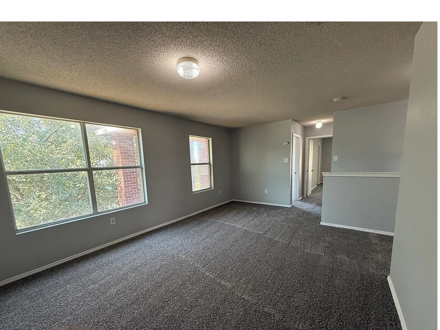 Textured ceiling with flush-mount lighting, grey wall finish, and dark grey carpeting