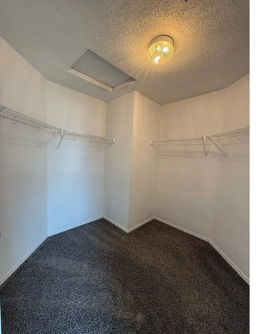 Walk-in closet featuring wall-to-wall carpeting, white walls, and built-in wire shelving