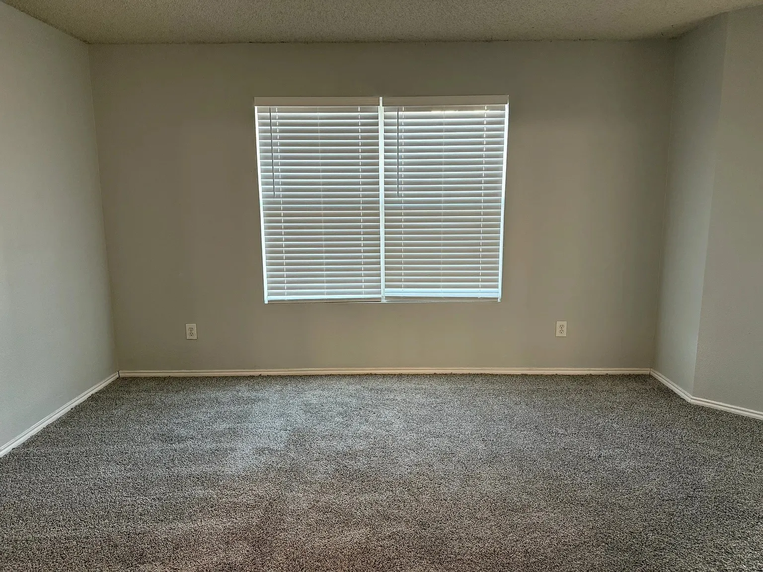 Carpeted flooring with neutral wall paint and a single window with blinds