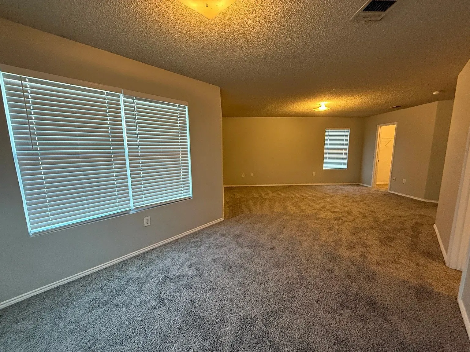 Spacious room with soft gray carpeting and light gray wall finishes