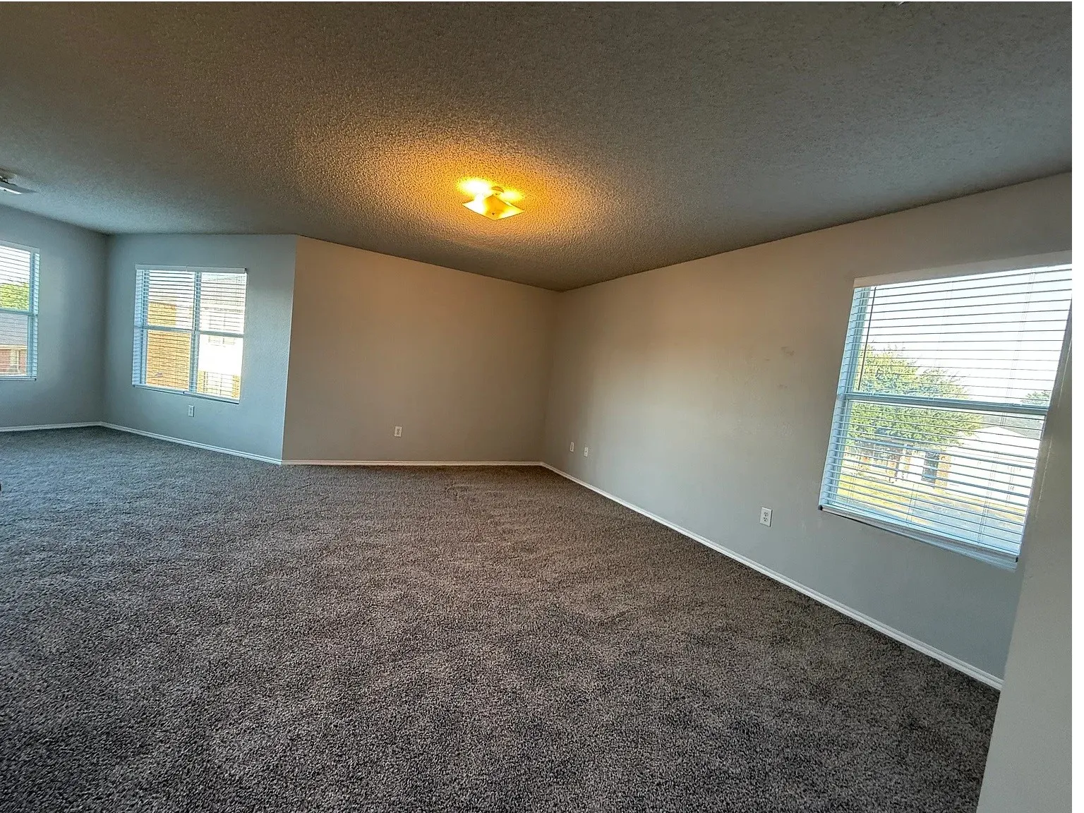 Spacious room with plush carpeting, neutral wall finishes, multiple windows with blinds, and an overhead light fixture