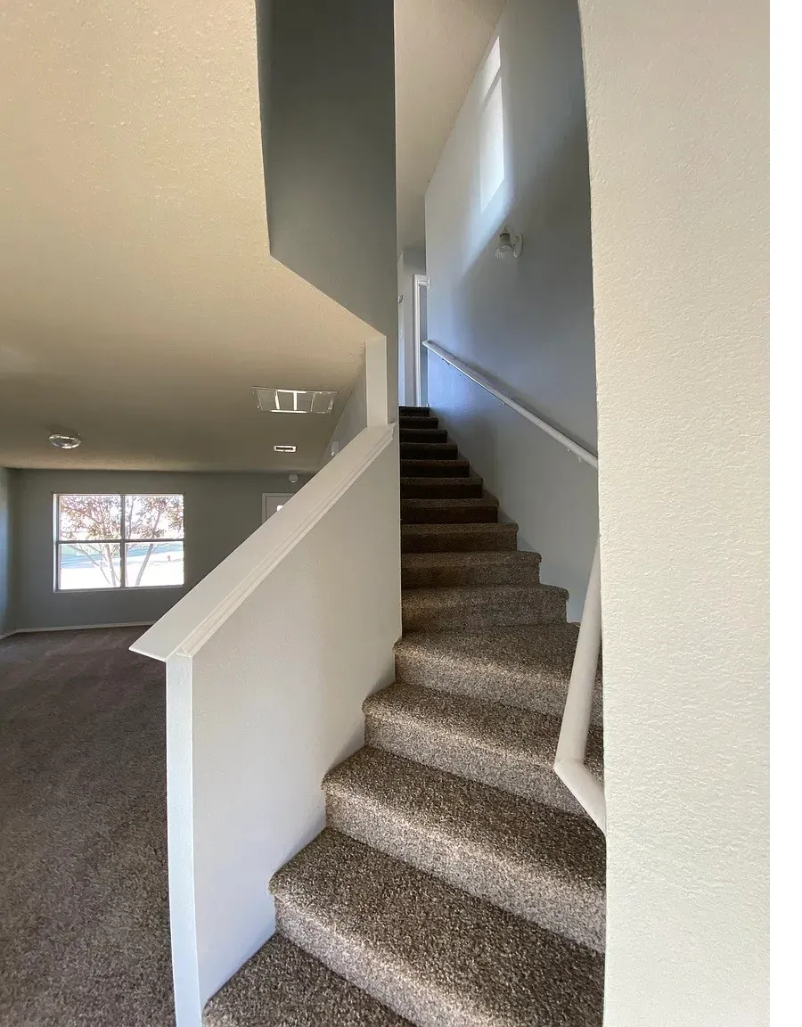 Carpeted staircase with white handrail and wall-mounted light fixture