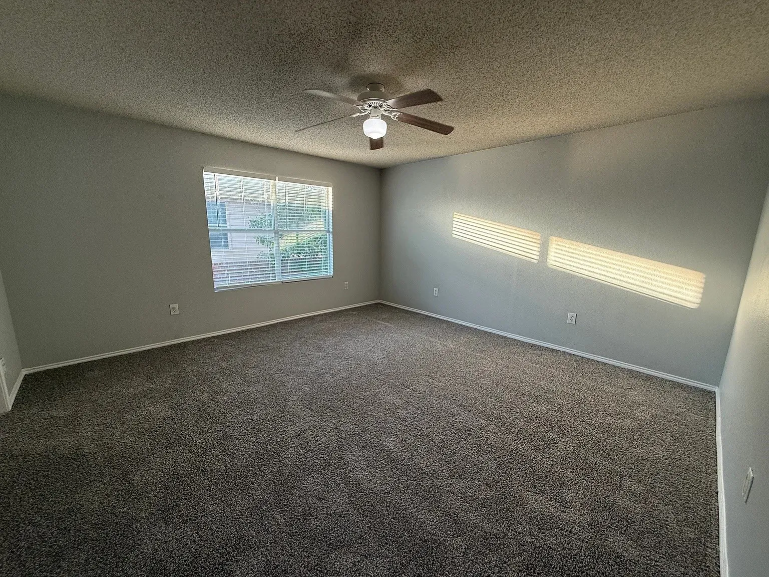 Neutral-toned walls complement the textured gray carpeting