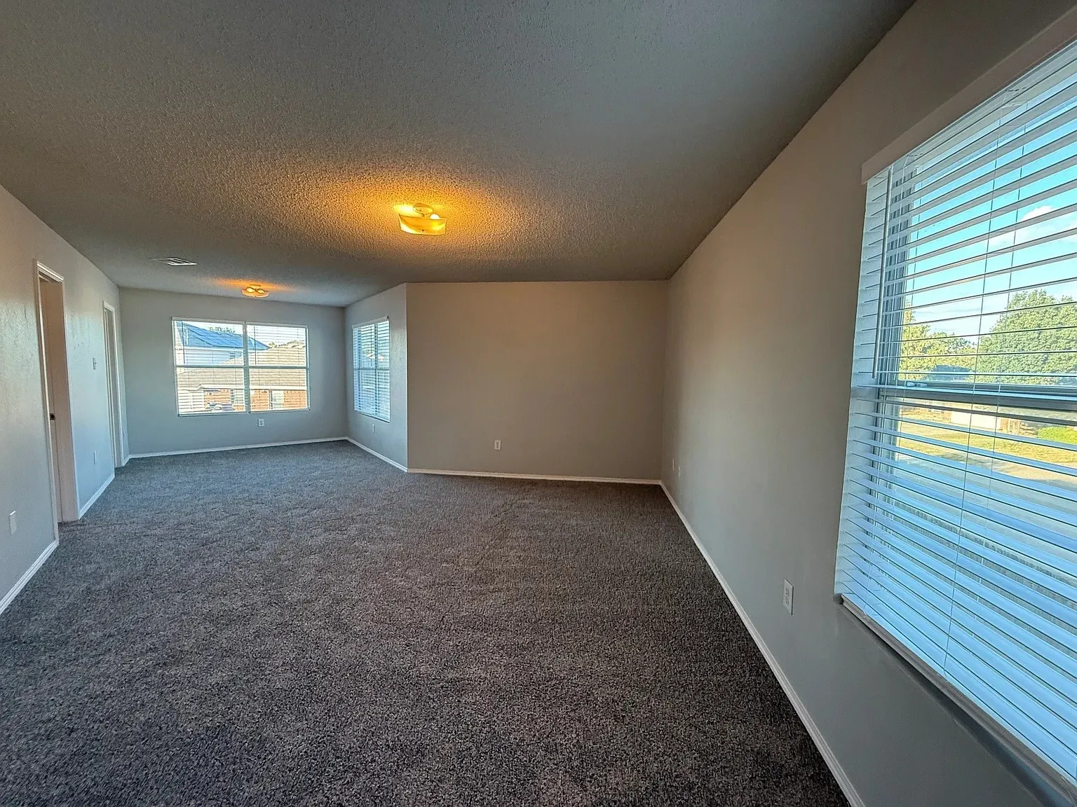 Spacious room with plush gray carpet, multiple windows, and neutral wall paint