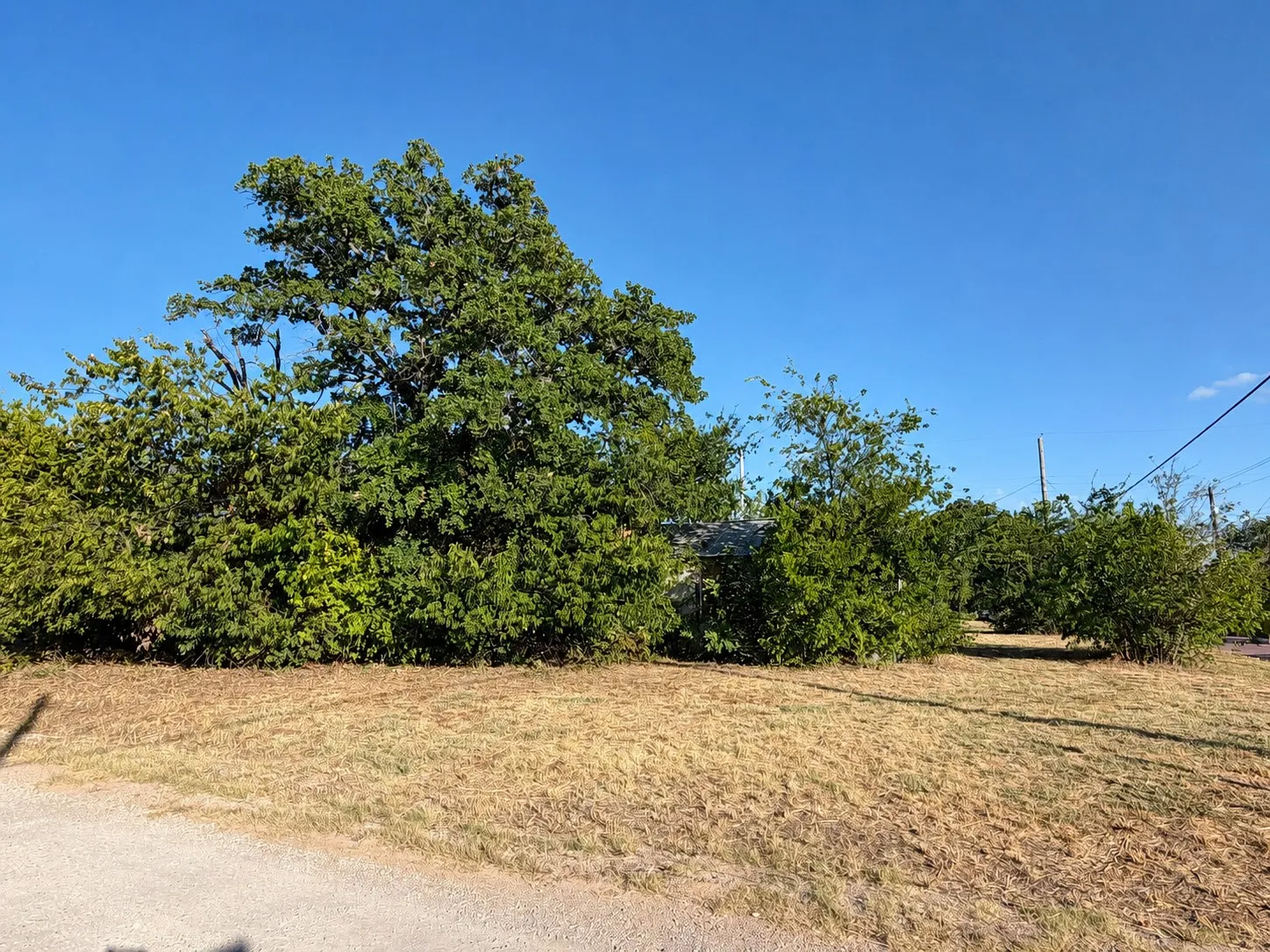Improved Land For Sale in Eastland County , 1301 Avenue A, Cisco, Texas 76437, 0, 0, Garage spaces, 0 Sqft, built in 1940, mls#21374607, Real Estate Agent in Cisco, Homes For Sale in Eastland county, Homes For Sale in Cisco, Realtor in Cisco Texas, Real Estate Brokerage Independent Realty Texas, Luminita Cordes Realtor