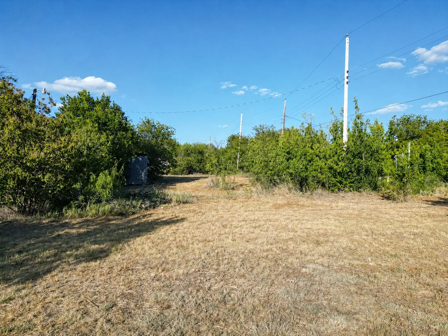 Improved Land For Sale in Eastland County , 1301 Avenue A, Cisco, Texas 76437, 0, 0, Garage spaces, 0 Sqft, built in 1940, mls#21374607, Real Estate Agent in Cisco, Homes For Sale in Eastland county, Homes For Sale in Cisco, Realtor in Cisco Texas, Real Estate Brokerage Independent Realty Texas, Luminita Cordes Realtor