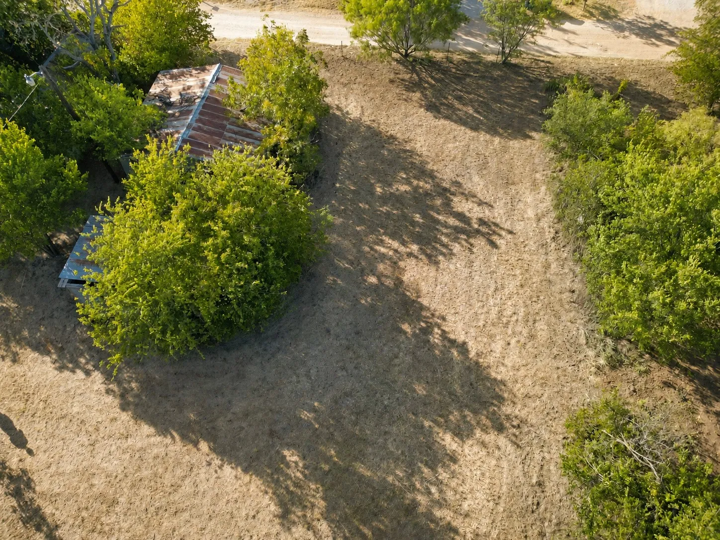 Improved Land For Sale in Eastland County , 1301 Avenue A, Cisco, Texas 76437, 0, 0, Garage spaces, 0 Sqft, built in 1940, mls#21374607, Real Estate Agent in Cisco, Homes For Sale in Eastland county, Homes For Sale in Cisco, Realtor in Cisco Texas, Real Estate Brokerage Independent Realty Texas, Luminita Cordes Realtor
