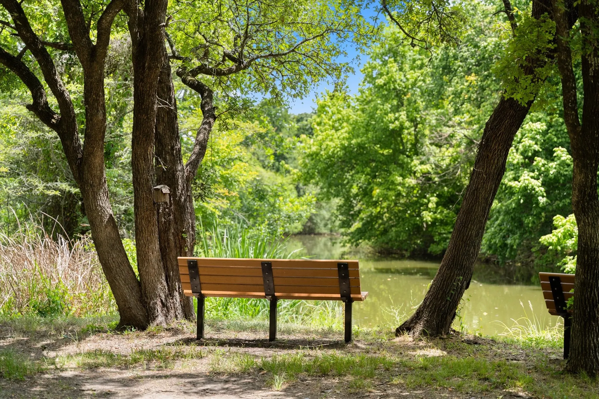 Unimproved Land For Sale in Navarro County , Lot 149 & Slip 57 Solitude Court, Richland, Texas 76681, 0, 0, Garage spaces, 0 Sqft, built in 0, mls#21380135, Real Estate Agent in Richland, Homes For Sale in Navarro county, Homes For Sale in Richland, Realtor in Richland Texas, Real Estate Brokerage Independent Realty Texas, Luminita Cordes Realtor