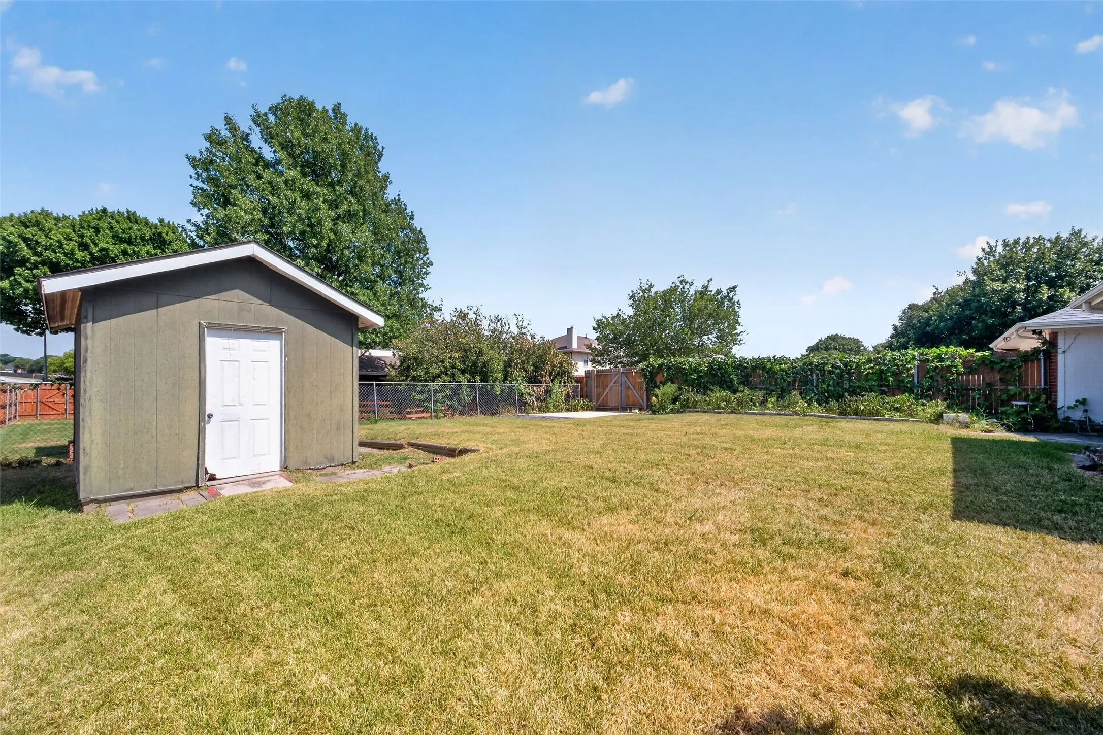 Expansive grassy yard featuring a storage shed with a white door, mature trees, and a chain-link fence