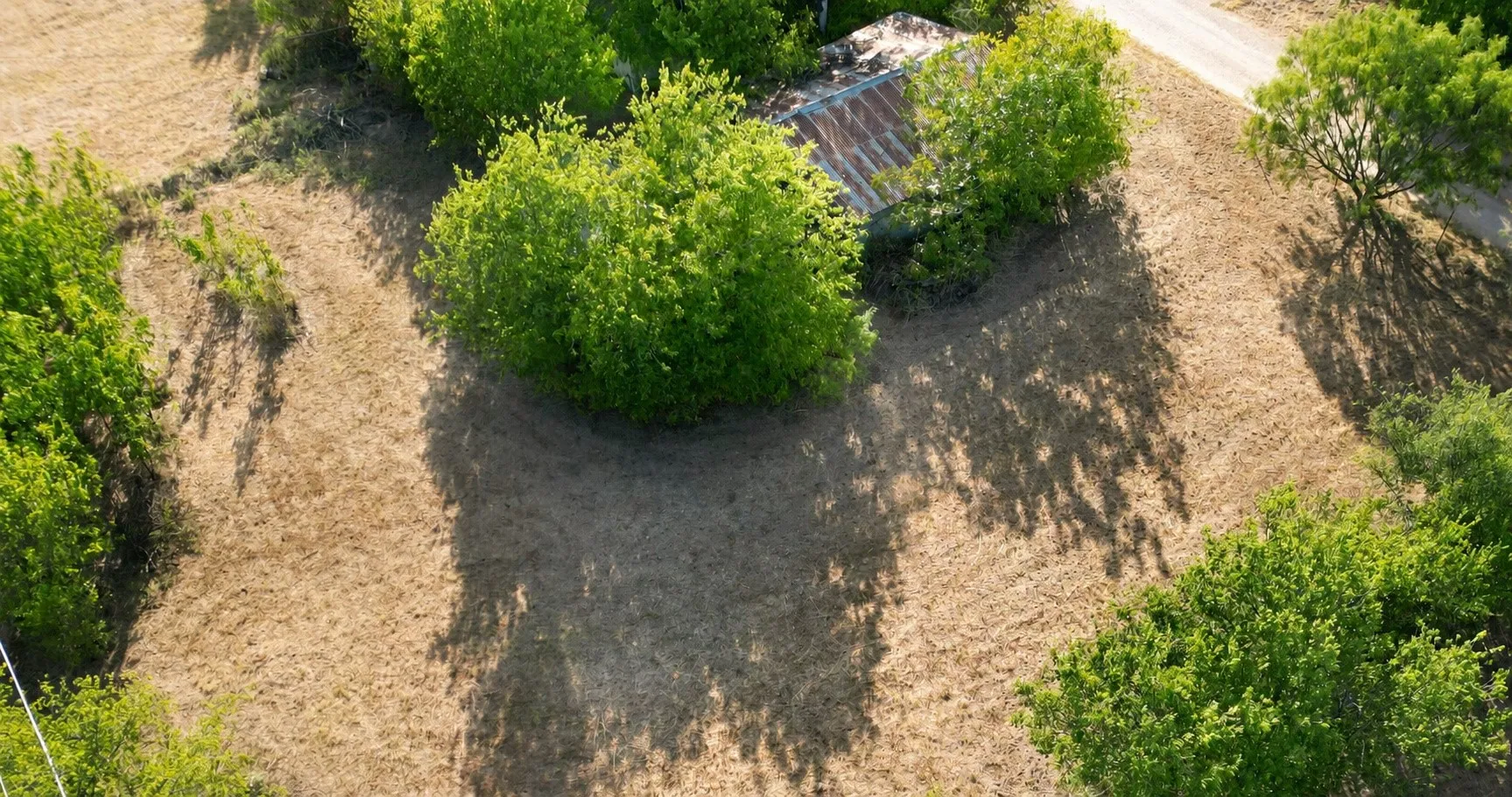 Improved Land For Sale in Eastland County , 508 & 1301 E 13th & Ave A, Cisco, Texas 76437, 0, 0, Garage spaces, 0 Sqft, built in 0, mls#21374613, Real Estate Agent in Cisco, Homes For Sale in Eastland county, Homes For Sale in Cisco, Realtor in Cisco Texas, Real Estate Brokerage Independent Realty Texas, Luminita Cordes Realtor