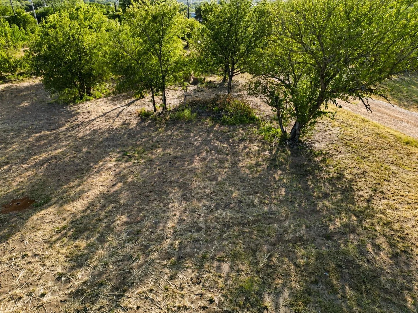 Improved Land For Sale in Eastland County , 508 & 1301 E 13th & Ave A, Cisco, Texas 76437, 0, 0, Garage spaces, 0 Sqft, built in 0, mls#21374613, Real Estate Agent in Cisco, Homes For Sale in Eastland county, Homes For Sale in Cisco, Realtor in Cisco Texas, Real Estate Brokerage Independent Realty Texas, Luminita Cordes Realtor