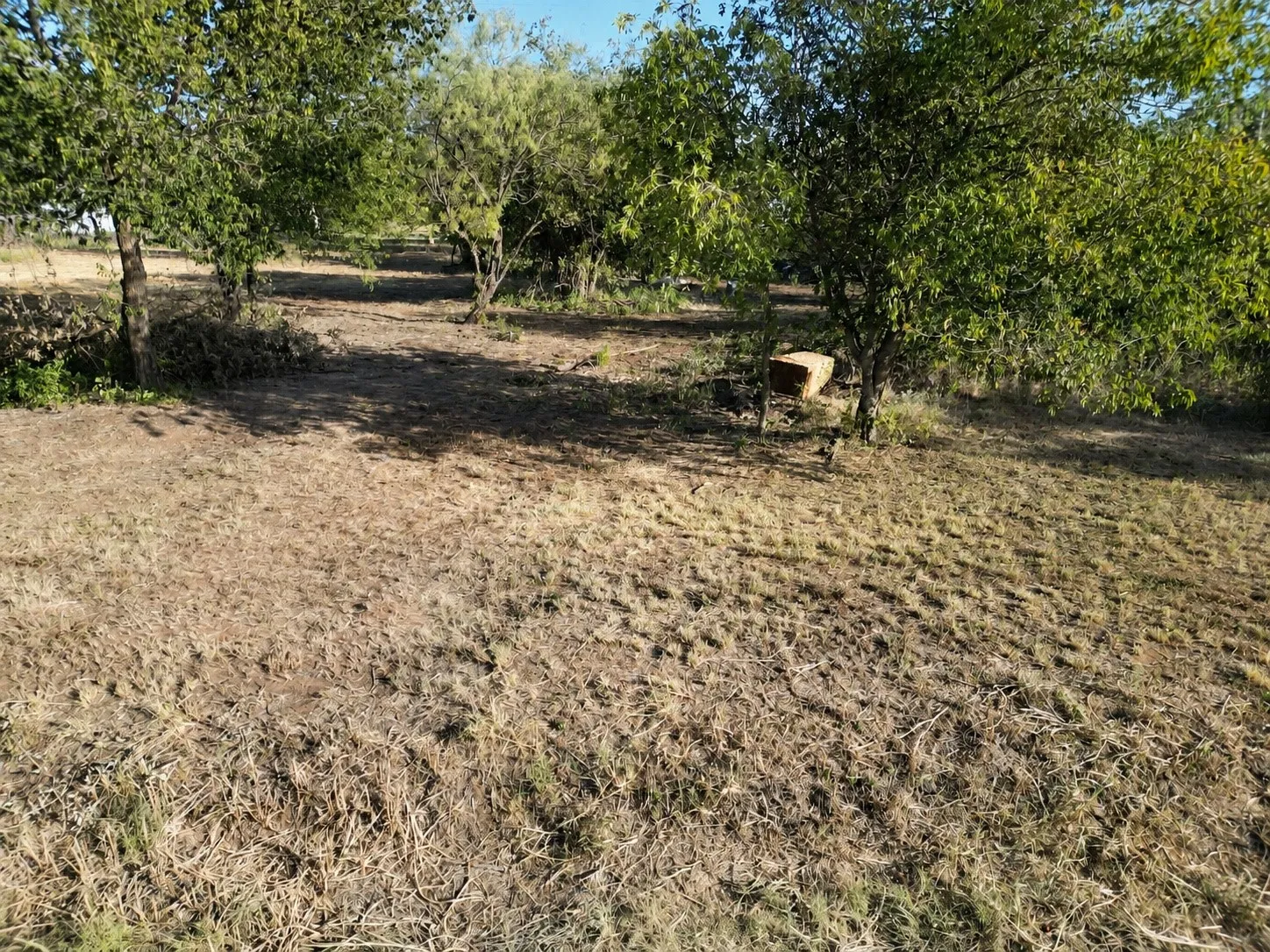 Improved Land For Sale in Eastland County , 508 & 1301 E 13th & Ave A, Cisco, Texas 76437, 0, 0, Garage spaces, 0 Sqft, built in 0, mls#21374613, Real Estate Agent in Cisco, Homes For Sale in Eastland county, Homes For Sale in Cisco, Realtor in Cisco Texas, Real Estate Brokerage Independent Realty Texas, Luminita Cordes Realtor
