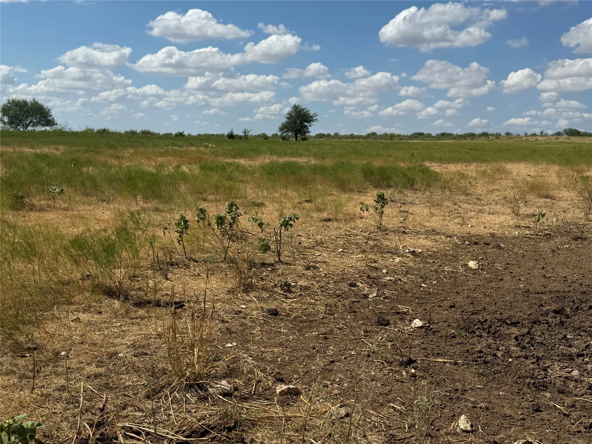 Unimproved Land For Sale in Mc Lennan County , TBD 141.624 +/- ac HWY 6 Highway, Crawford, Texas 76638, 0, 0, Garage spaces, 0 Sqft, built in 0, mls#21360645, Real Estate Agent in Crawford, Homes For Sale in Mc Lennan county, Homes For Sale in Crawford, Realtor in Crawford Texas, Real Estate Brokerage Independent Realty Texas, Luminita Cordes Realtor