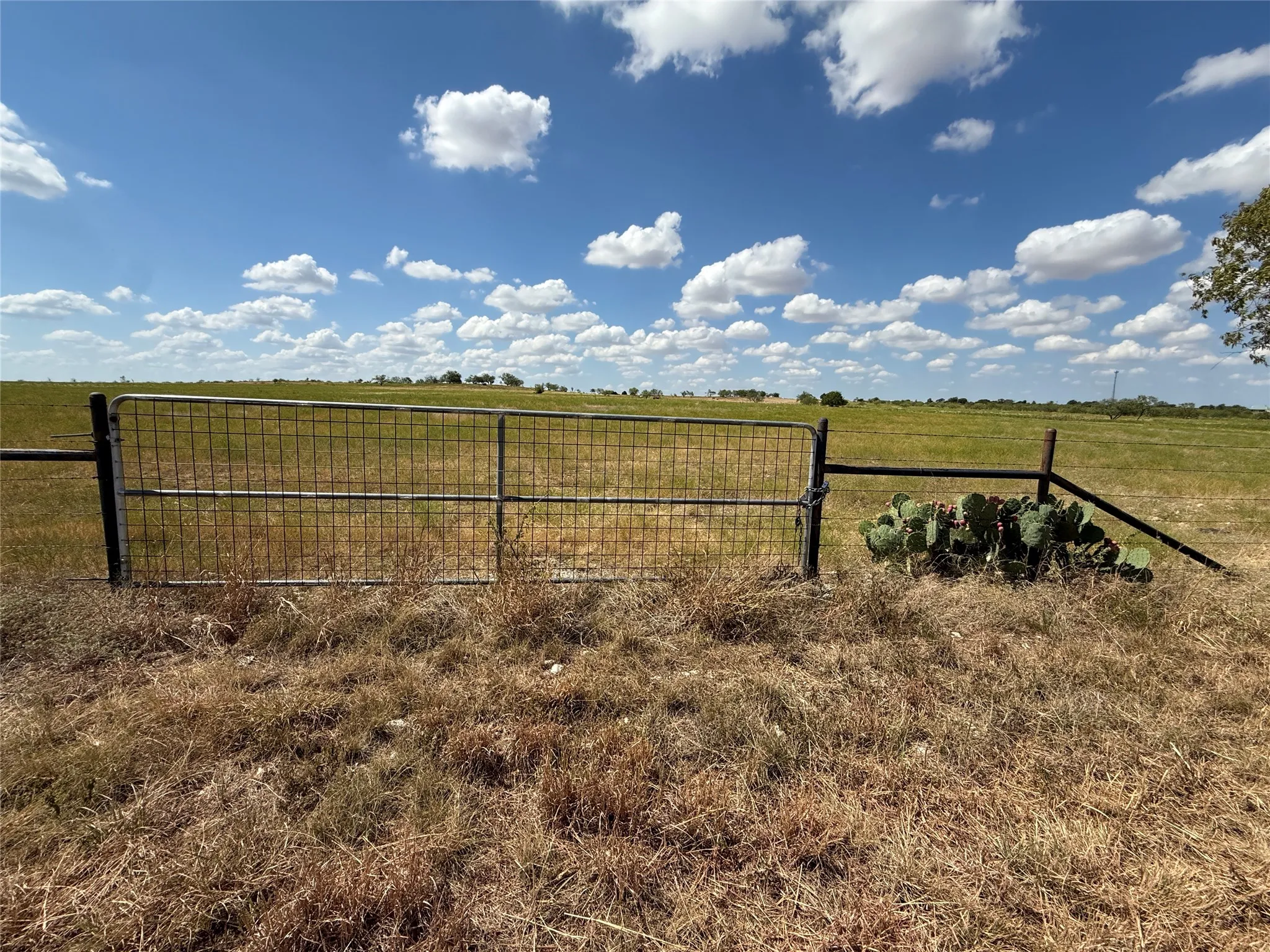 Unimproved Land For Sale in Mc Lennan County , TBD 141.624 +/- ac HWY 6 Highway, Crawford, Texas 76638, 0, 0, Garage spaces, 0 Sqft, built in 0, mls#21360645, Real Estate Agent in Crawford, Homes For Sale in Mc Lennan county, Homes For Sale in Crawford, Realtor in Crawford Texas, Real Estate Brokerage Independent Realty Texas, Luminita Cordes Realtor