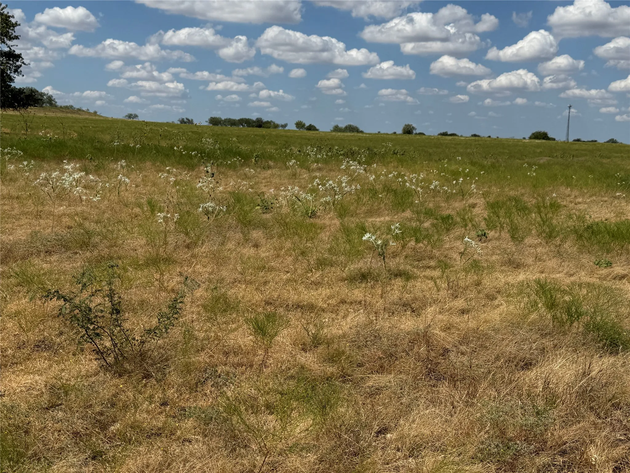 Unimproved Land For Sale in Mc Lennan County , TBD 141.624 +/- ac HWY 6 Highway, Crawford, Texas 76638, 0, 0, Garage spaces, 0 Sqft, built in 0, mls#21360645, Real Estate Agent in Crawford, Homes For Sale in Mc Lennan county, Homes For Sale in Crawford, Realtor in Crawford Texas, Real Estate Brokerage Independent Realty Texas, Luminita Cordes Realtor