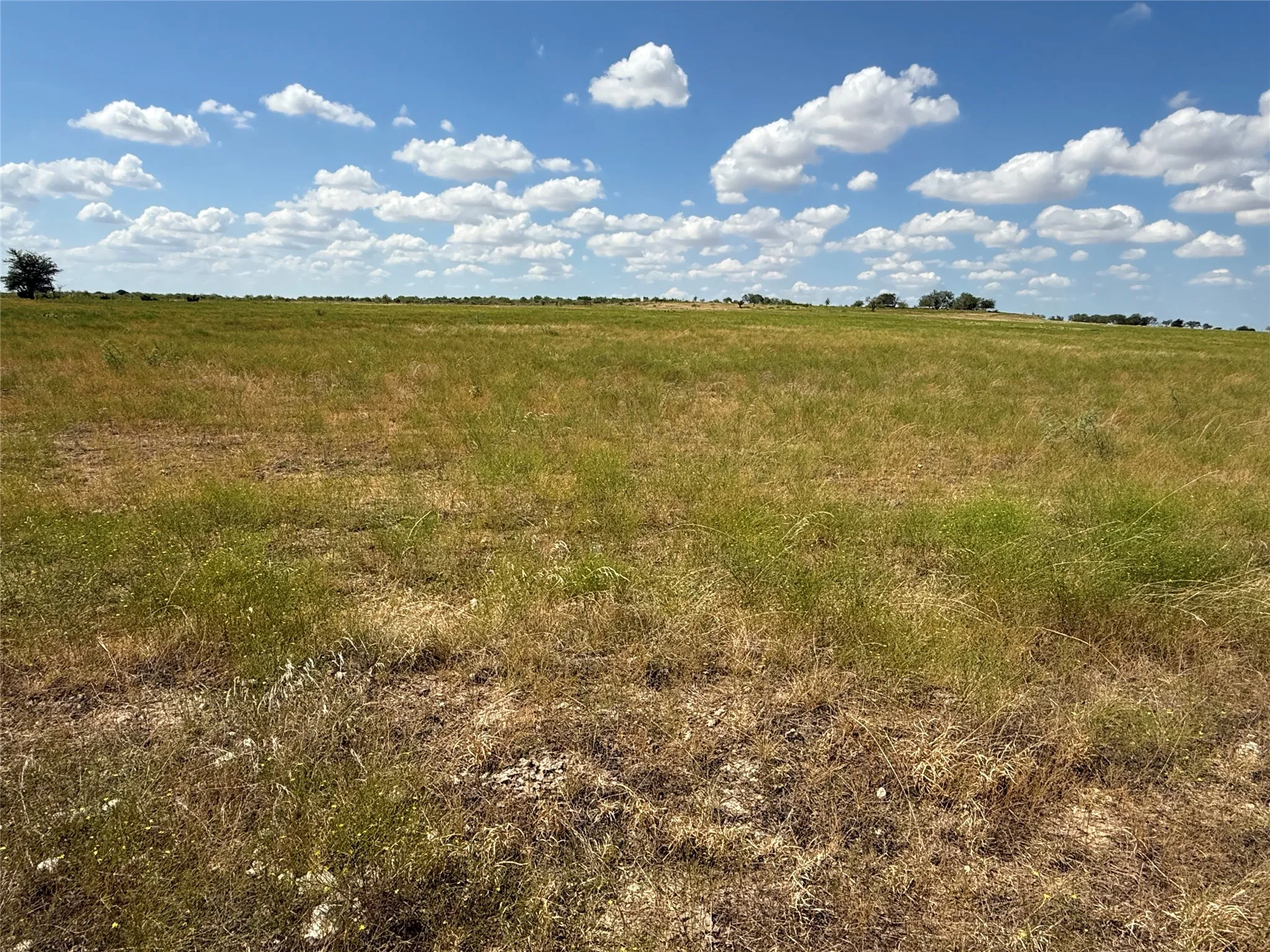 Unimproved Land For Sale in Mc Lennan County , TBD 141.624 +/- ac HWY 6 Highway, Crawford, Texas 76638, 0, 0, Garage spaces, 0 Sqft, built in 0, mls#21360645, Real Estate Agent in Crawford, Homes For Sale in Mc Lennan county, Homes For Sale in Crawford, Realtor in Crawford Texas, Real Estate Brokerage Independent Realty Texas, Luminita Cordes Realtor