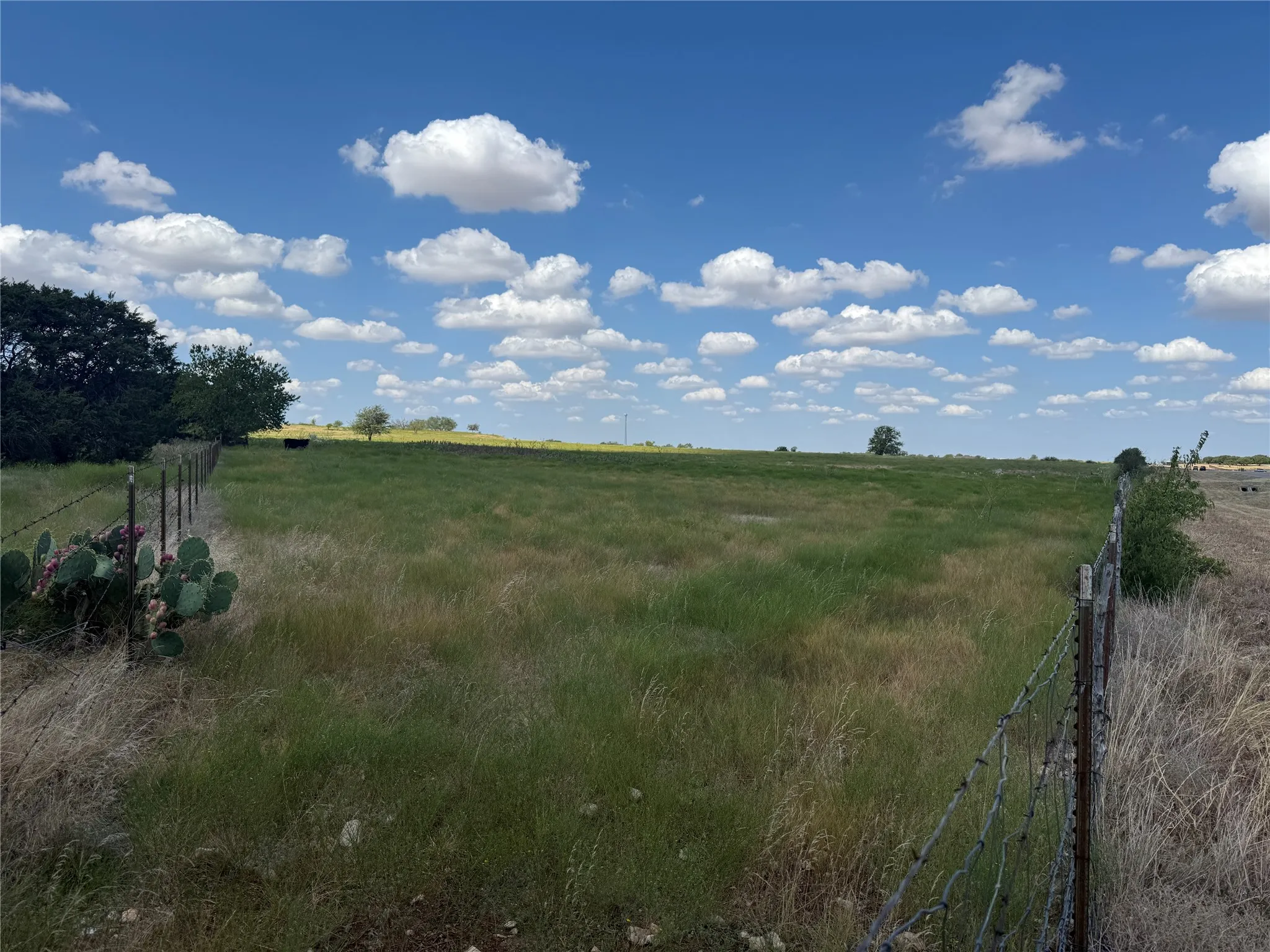 Unimproved Land For Sale in Mc Lennan County , TBD 141.624 +/- ac HWY 6 Highway, Crawford, Texas 76638, 0, 0, Garage spaces, 0 Sqft, built in 0, mls#21360645, Real Estate Agent in Crawford, Homes For Sale in Mc Lennan county, Homes For Sale in Crawford, Realtor in Crawford Texas, Real Estate Brokerage Independent Realty Texas, Luminita Cordes Realtor