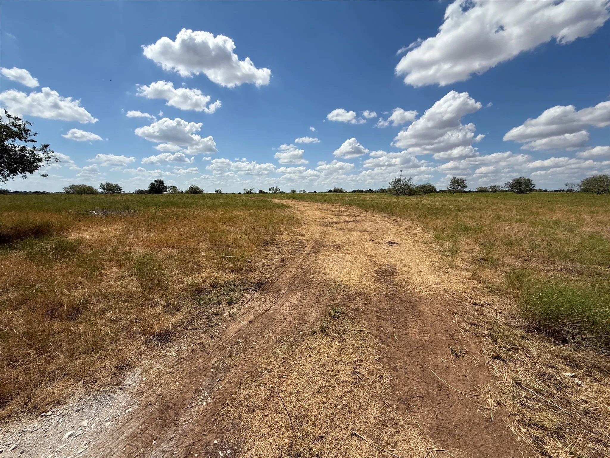 Unimproved Land For Sale in Mc Lennan County , TBD 141.624 +/- ac HWY 6 Highway, Crawford, Texas 76638, 0, 0, Garage spaces, 0 Sqft, built in 0, mls#21360645, Real Estate Agent in Crawford, Homes For Sale in Mc Lennan county, Homes For Sale in Crawford, Realtor in Crawford Texas, Real Estate Brokerage Independent Realty Texas, Luminita Cordes Realtor
