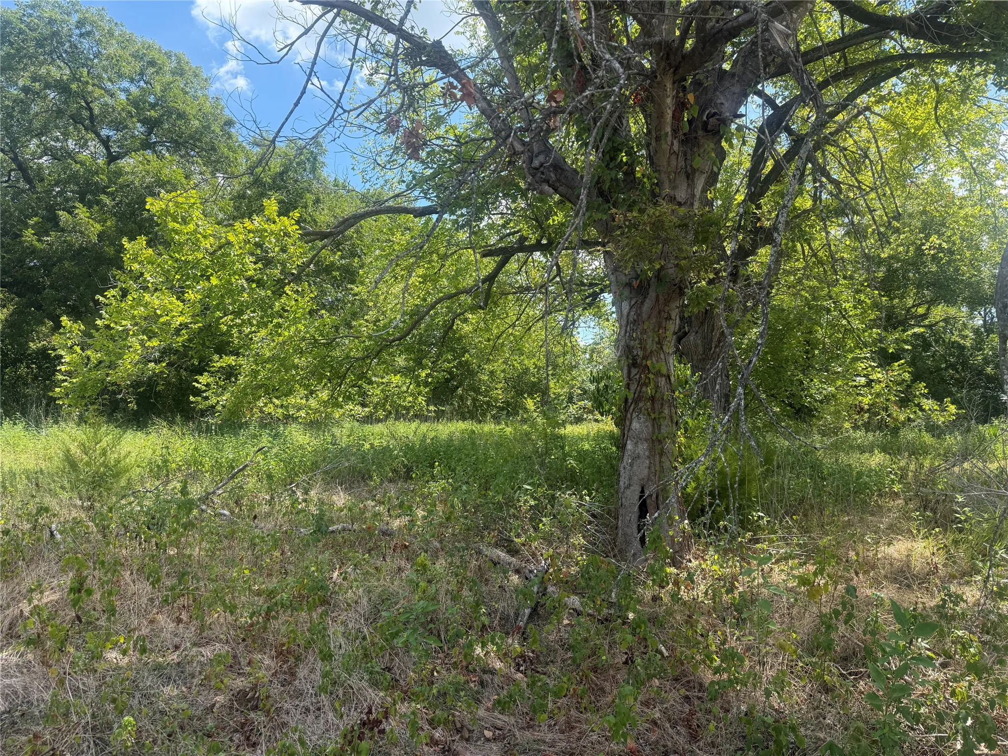Improved Land For Sale in Mc Lennan County , 2200 Orchard, Waco, Texas 76705, 0, 0, Garage spaces, 0 Sqft, built in 0, mls#21380211, Real Estate Agent in Waco, Homes For Sale in Mc Lennan county, Homes For Sale in Waco, Realtor in Waco Texas, Real Estate Brokerage Independent Realty Texas, Luminita Cordes Realtor