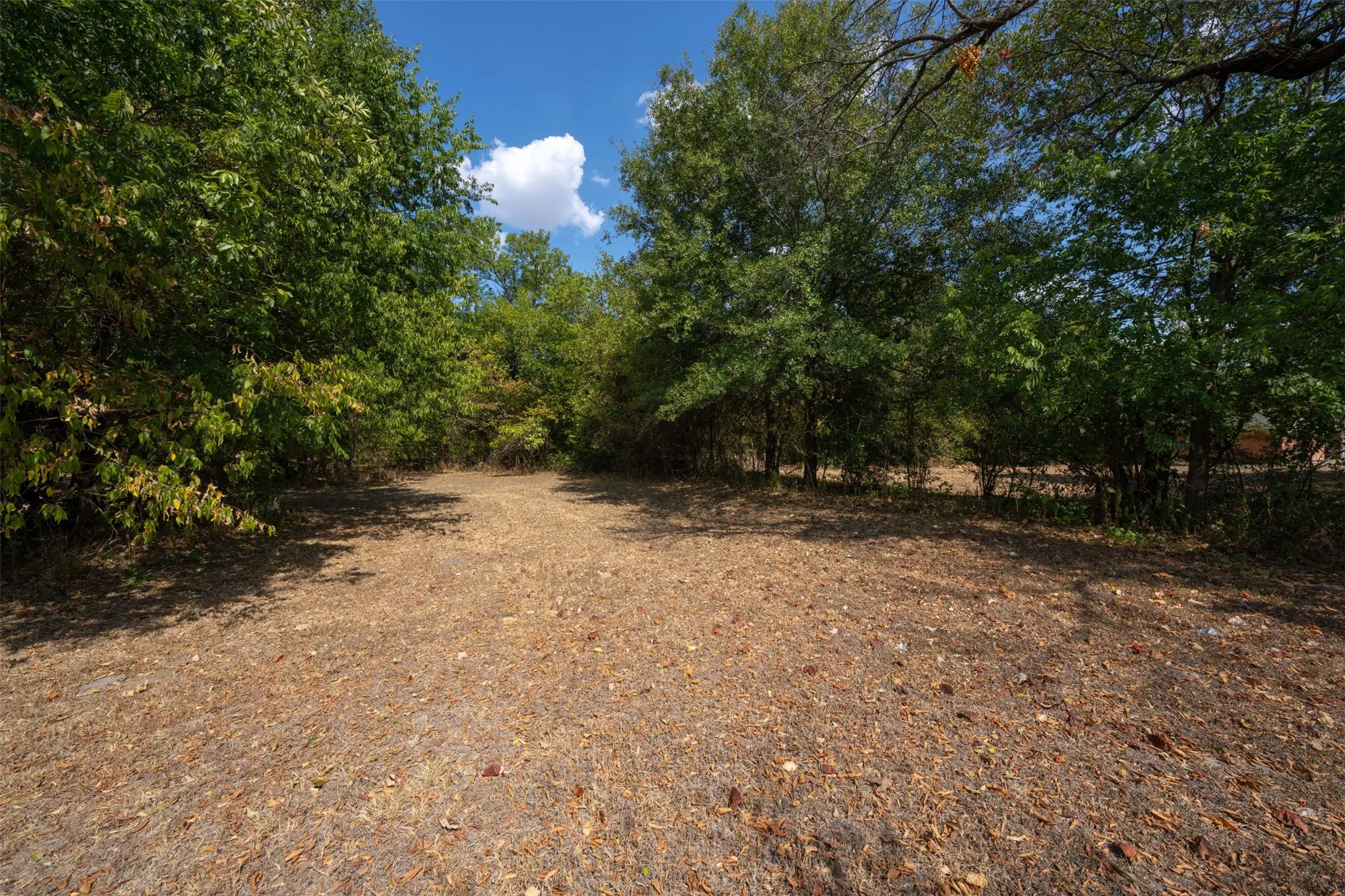 Unimproved Land For Sale in Navarro County , 417 N 3rd Street, Corsicana, Texas 75110, 0, 0, Garage spaces, 0 Sqft, built in 0, mls#21377848, Real Estate Agent in Corsicana, Homes For Sale in Navarro county, Homes For Sale in Corsicana, Realtor in Corsicana Texas, Real Estate Brokerage Independent Realty Texas, Luminita Cordes Realtor