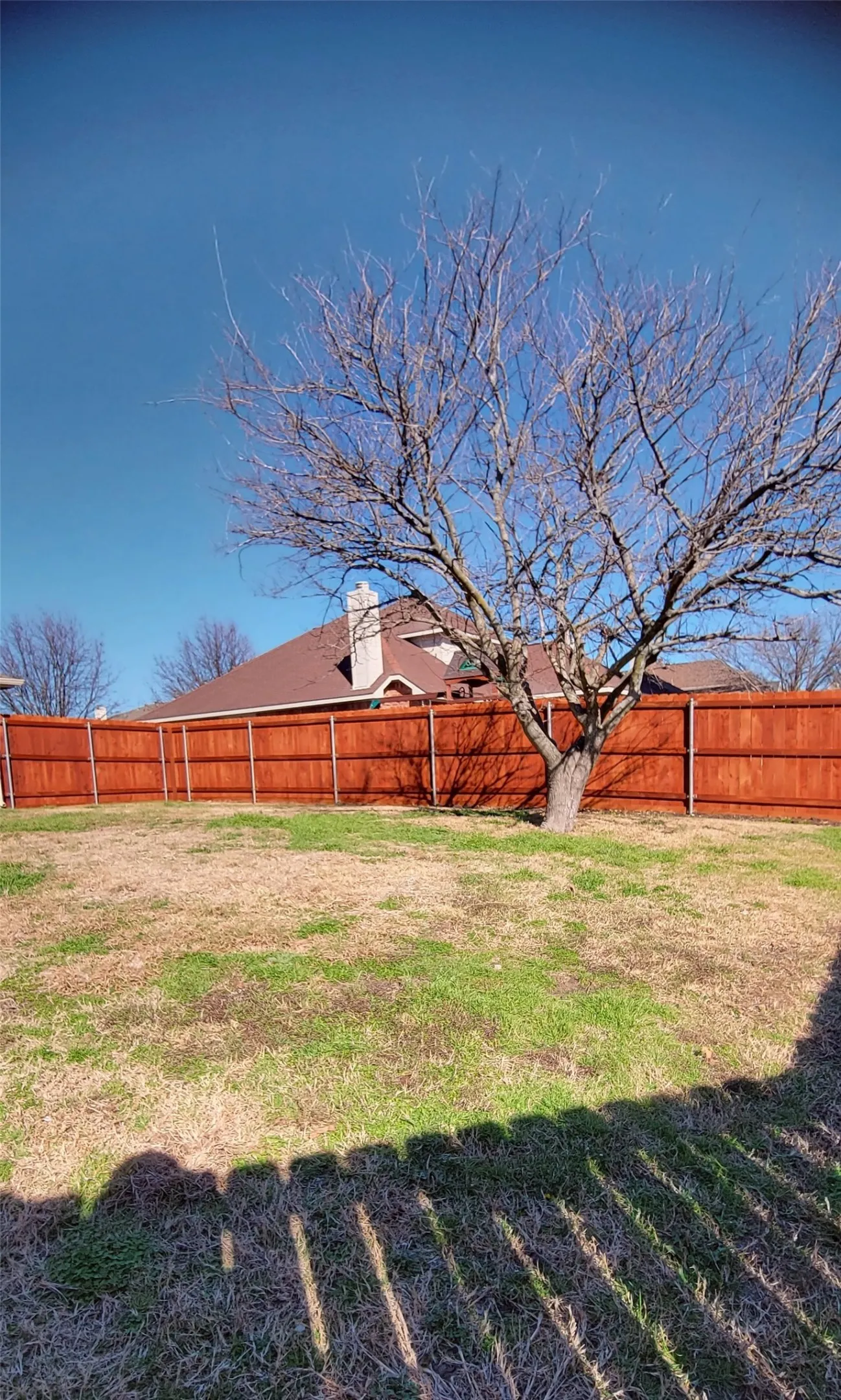 Single Family Residence For Rent in Collin County , 5598 Carrington Drive, Richardson, Texas 75082, 3 Bedroom, 2 Bathroom, 2 Garage spaces, 1,681 Sqft, built in 1998, mls#21380236, Real Estate Agent in Richardson, Homes For Rent in Collin county, Homes For Rent in Richardson, Realtor in Richardson Texas, Real Estate Brokerage Independent Realty Texas, Luminita Cordes Realtor