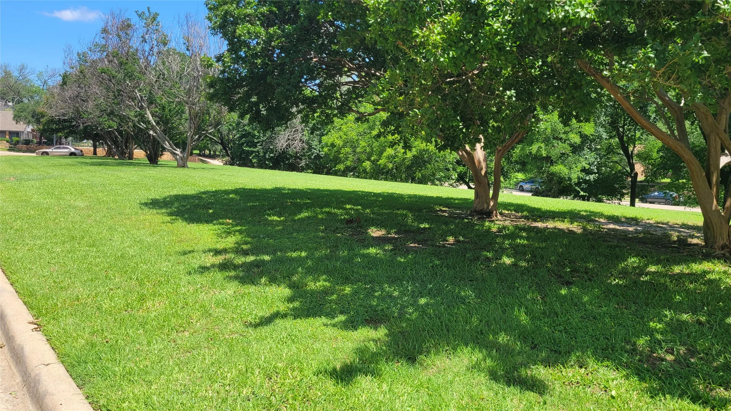 Greenspace / park