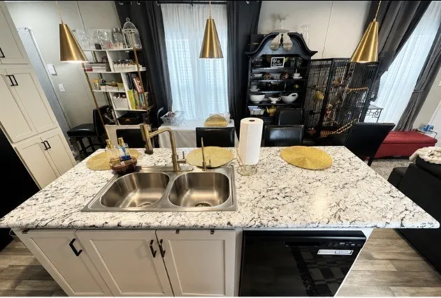 Kitchen island with granite countertops, dual stainless steel sinks, a high-arc faucet, and a dishwasher, complemented by suspended conical pendant lighting