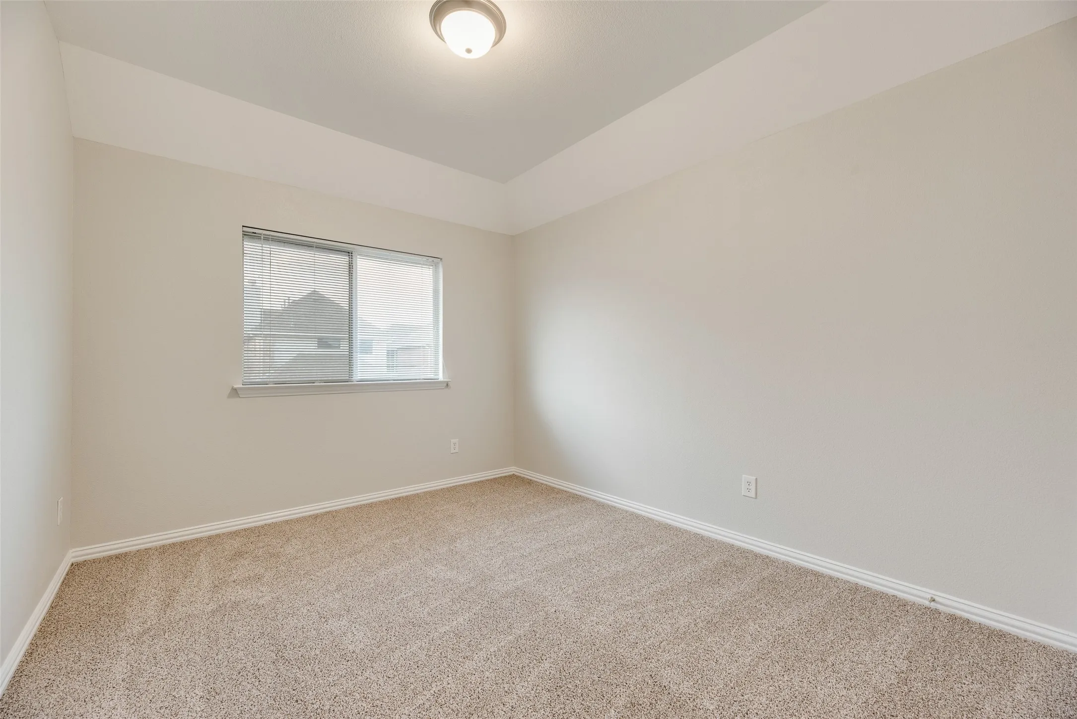 Plush carpet flooring, neutral painted walls, tray ceiling detail, and a single window with blinds
