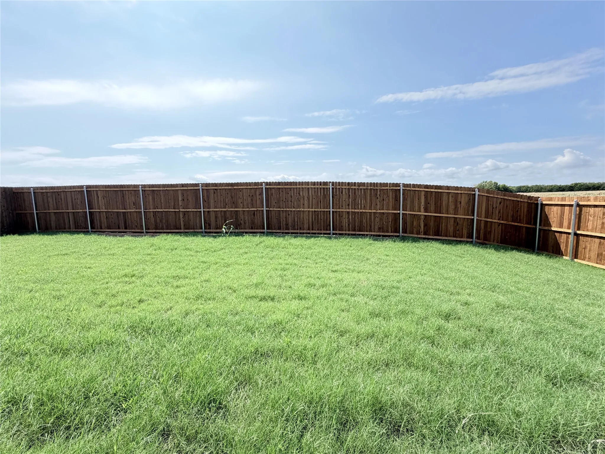 Single Family Residence For Rent in Collin County , 629 Dunham Road, Nevada, Texas 75135, 4 Bedroom, 3 Bathroom, 2 Garage spaces, 2,089 Sqft, built in 2026, mls#21380286, Real Estate Agent in Nevada, Homes For Rent in Collin county, Homes For Rent in Nevada, Realtor in Nevada Texas, Real Estate Brokerage Independent Realty Texas, Luminita Cordes Realtor