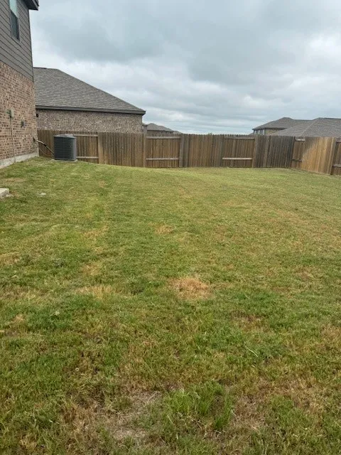 Expansive grass lawn with wood privacy fencing
