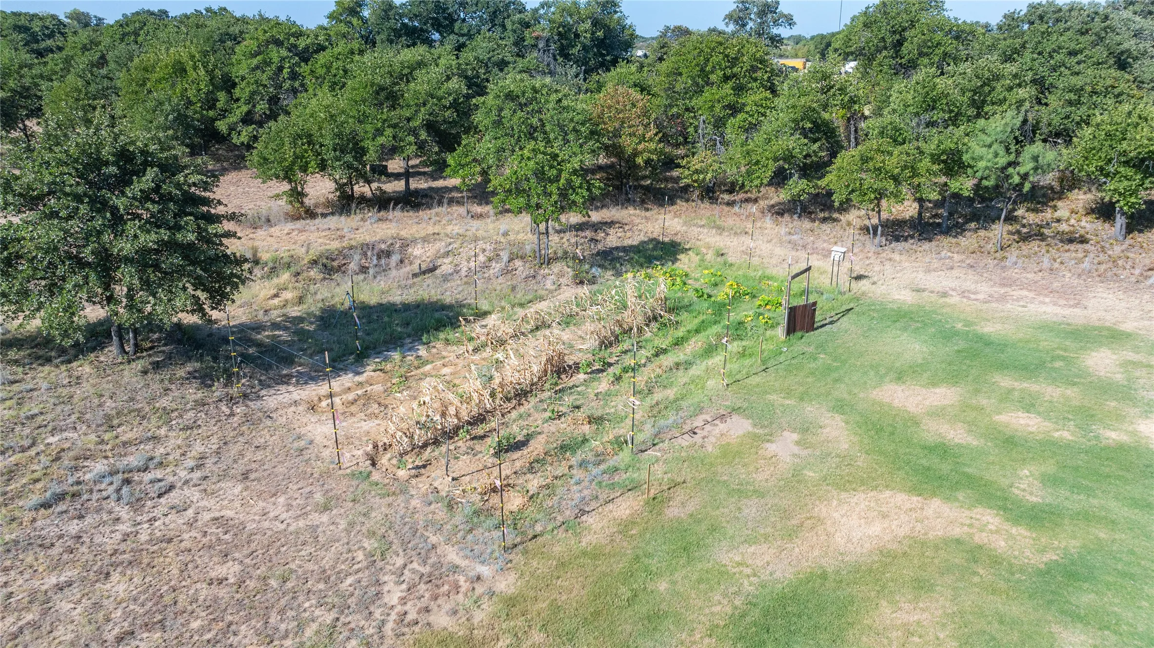Single Family Residence For Sale in Callahan County , 1300 Ross Street, Clyde, Texas 79510, 4 Bedroom, 3 Bathroom, 2 Garage spaces, 2,920 Sqft, built in 2023, mls#21380315, Real Estate Agent in Clyde, Homes For Sale in Callahan county, Homes For Sale in Clyde, Realtor in Clyde Texas, Real Estate Brokerage Independent Realty Texas, Luminita Cordes Realtor