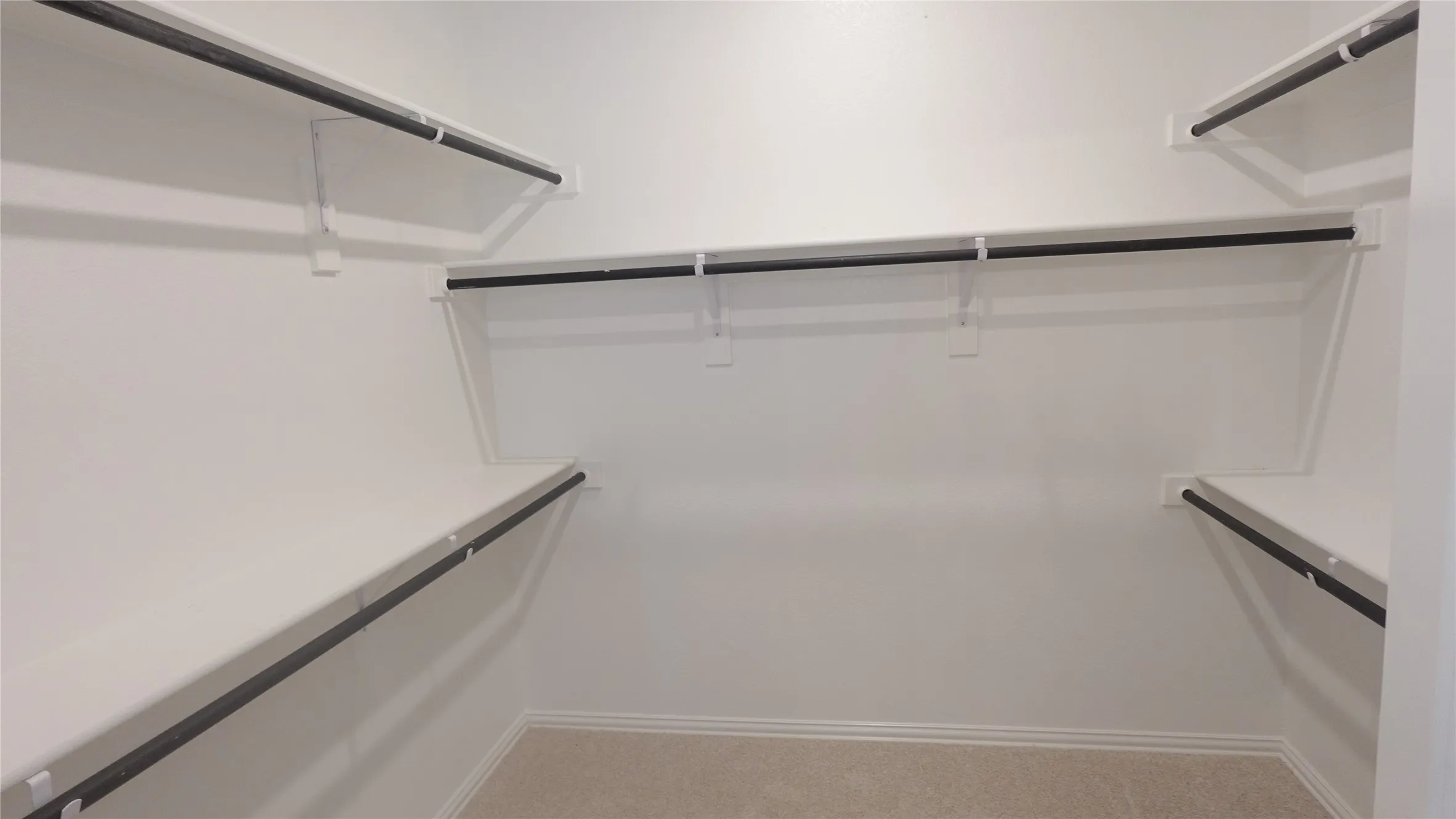 Walk-in closet featuring white shelving, multiple hanging rods, and neutral carpeting
