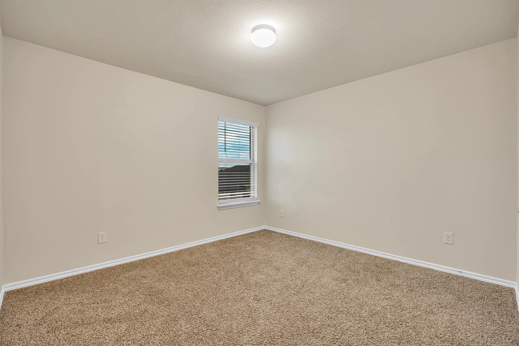 Carpeted room with neutral wall tones and a single window with blinds