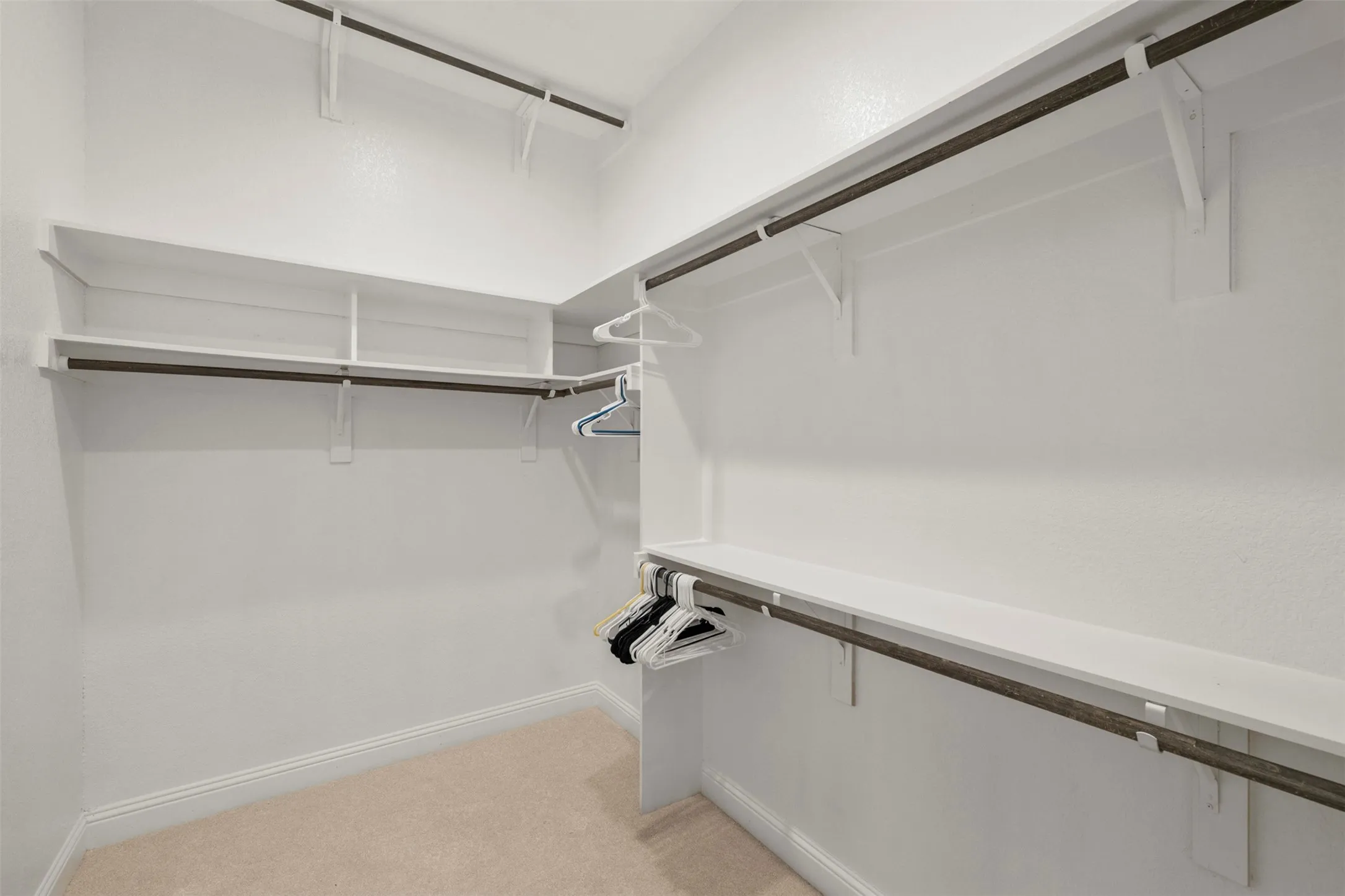 Walk-in closet with carpet flooring, white painted walls, and built-in shelving units