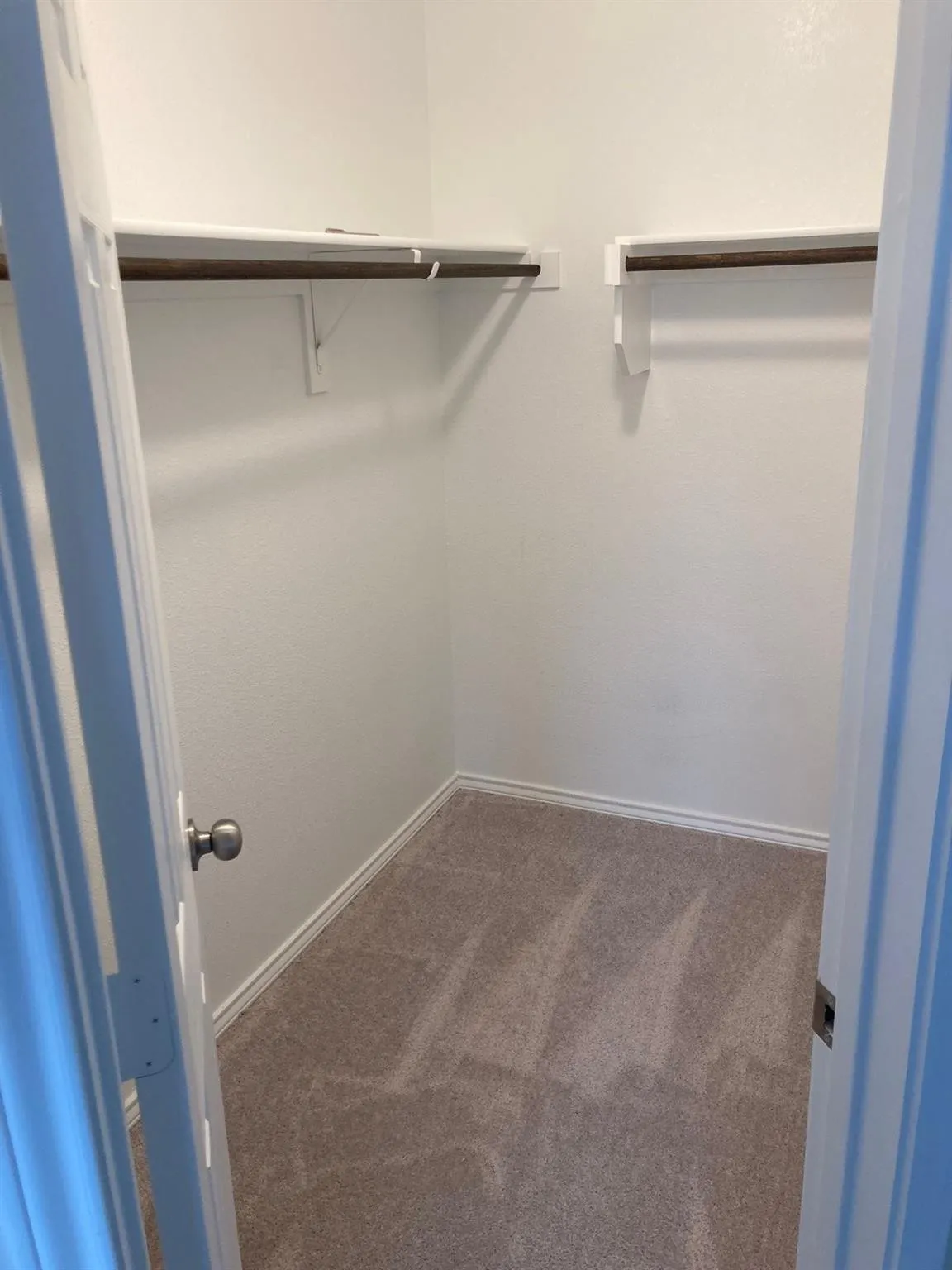 Walk-in closet with carpet flooring, white walls, and built-in shelving with hanging rods