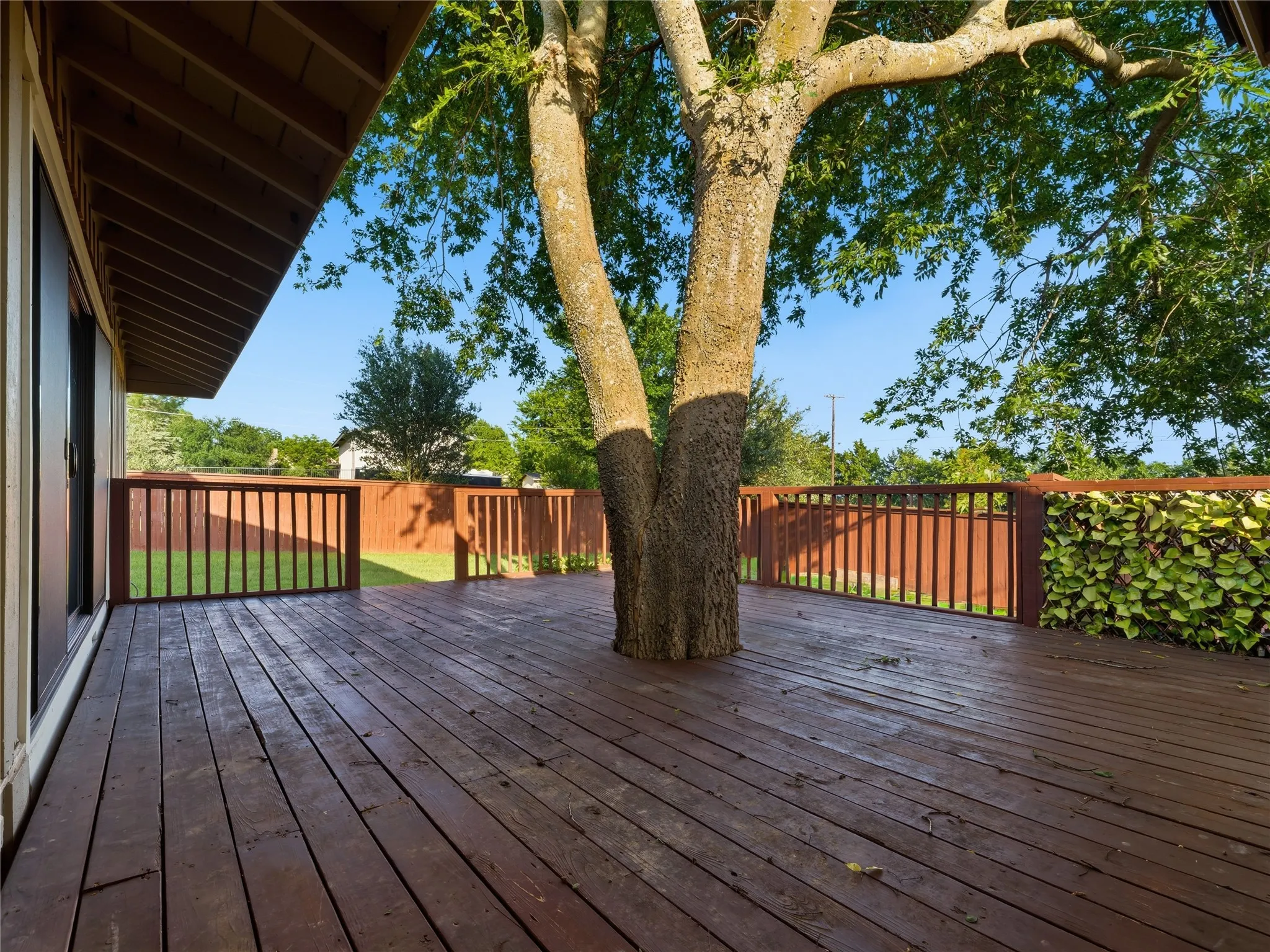 Expansive outdoor deck featuring wood flooring and railings, integrated mature tree, and a partial privacy wall with climbing greenery