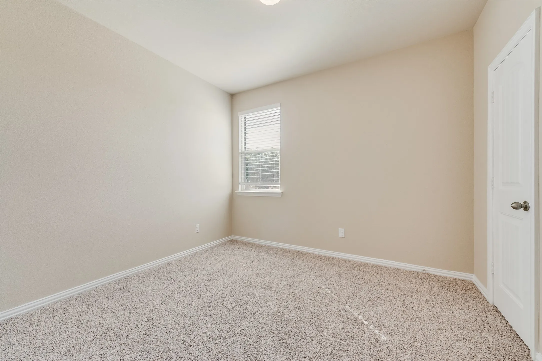 Neutral-toned walls, textured carpet flooring, a single window with blinds, and a white paneled door with a metallic knob