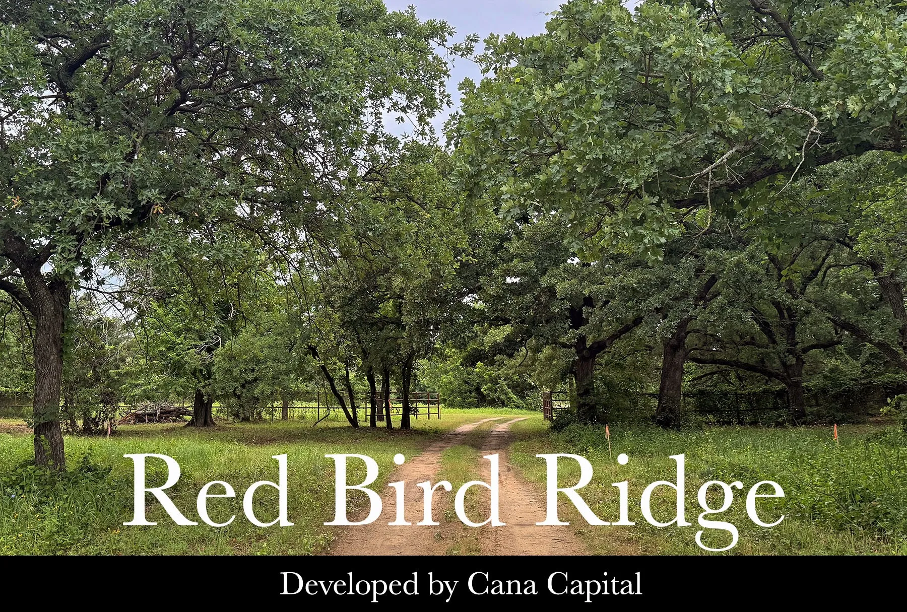 Improved Land For Sale in Denton County , 1131 Ellen Donald Lane, Argyle, Texas 76226, 0, 0, Garage spaces, 0 Sqft, built in 0, mls#21380495, Real Estate Agent in Argyle, Homes For Sale in Denton county, Homes For Sale in Argyle, Realtor in Argyle Texas, Real Estate Brokerage Independent Realty Texas, Luminita Cordes Realtor