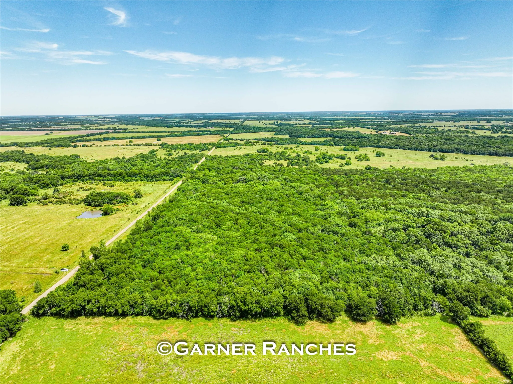 Unimproved Land For Sale in Hunt County , 0000 County Road 1019, Celeste, Texas 75423, 0, 0, Garage spaces, 0 Sqft, built in 0, mls#21380526, Real Estate Agent in Celeste, Homes For Sale in Hunt county, Homes For Sale in Celeste, Realtor in Celeste Texas, Real Estate Brokerage Independent Realty Texas, Luminita Cordes Realtor