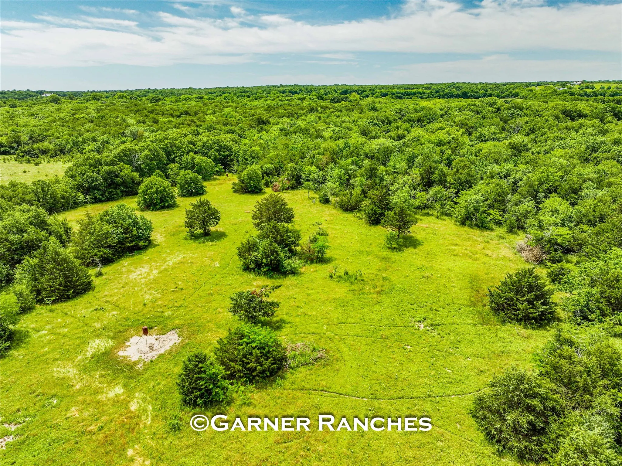 Unimproved Land For Sale in Hunt County , 0000 County Road 1019, Celeste, Texas 75423, 0, 0, Garage spaces, 0 Sqft, built in 0, mls#21380526, Real Estate Agent in Celeste, Homes For Sale in Hunt county, Homes For Sale in Celeste, Realtor in Celeste Texas, Real Estate Brokerage Independent Realty Texas, Luminita Cordes Realtor