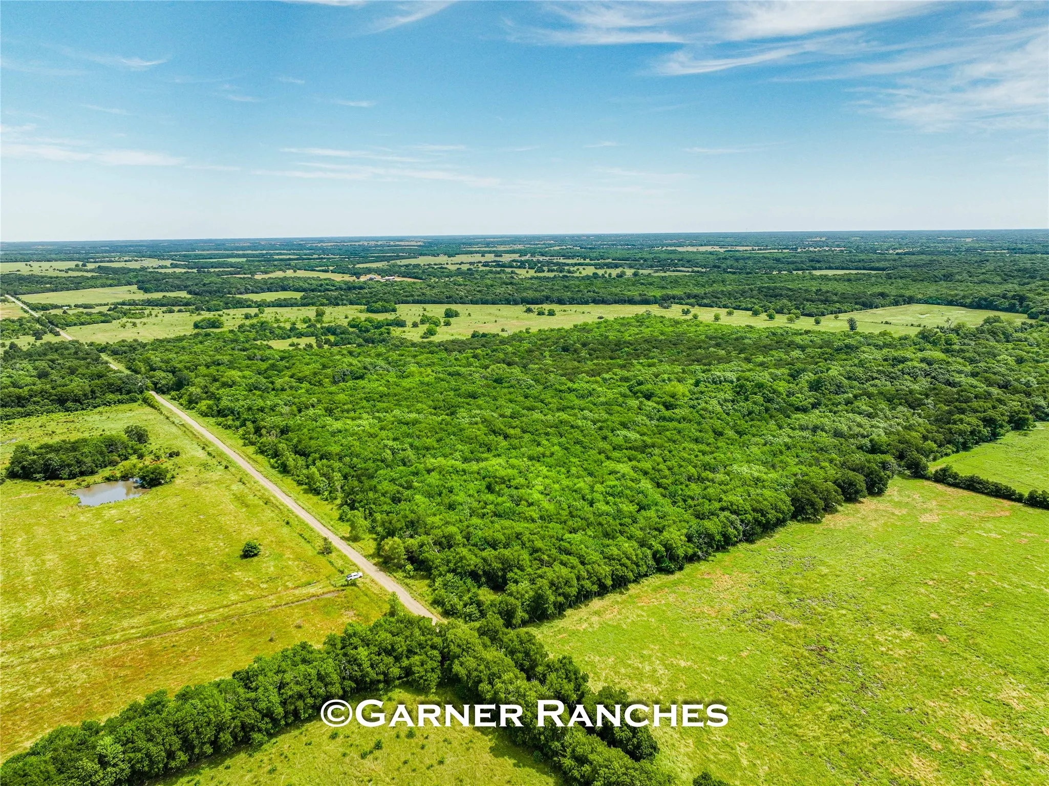 Unimproved Land For Sale in Hunt County , 0000 County Road 1019, Celeste, Texas 75423, 0, 0, Garage spaces, 0 Sqft, built in 0, mls#21380526, Real Estate Agent in Celeste, Homes For Sale in Hunt county, Homes For Sale in Celeste, Realtor in Celeste Texas, Real Estate Brokerage Independent Realty Texas, Luminita Cordes Realtor