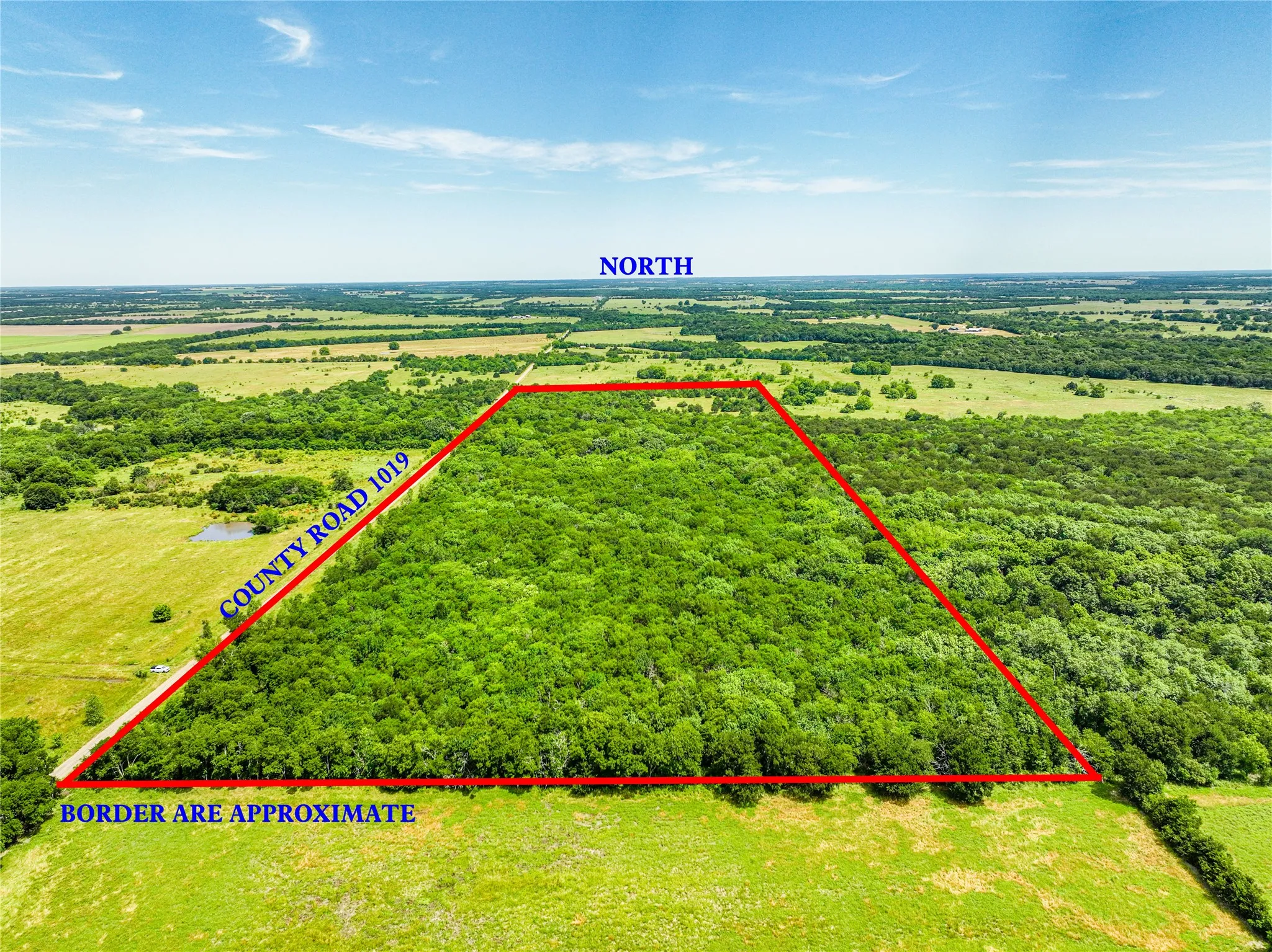 Unimproved Land For Sale in Hunt County , 0000 County Road 1019, Celeste, Texas 75423, 0, 0, Garage spaces, 0 Sqft, built in 0, mls#21380526, Real Estate Agent in Celeste, Homes For Sale in Hunt county, Homes For Sale in Celeste, Realtor in Celeste Texas, Real Estate Brokerage Independent Realty Texas, Luminita Cordes Realtor