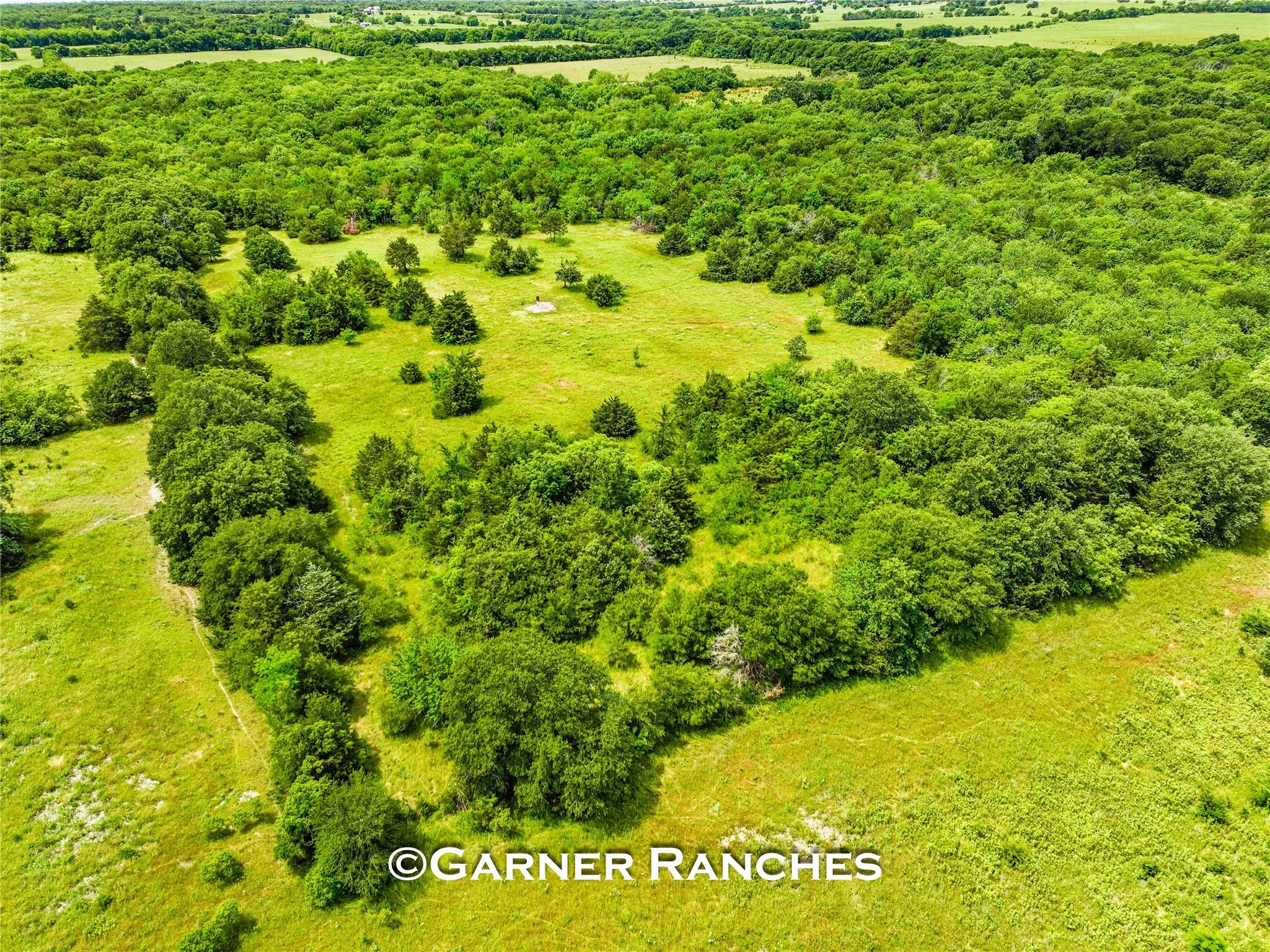 Unimproved Land For Sale in Hunt County , 0000 County Road 1019, Celeste, Texas 75423, 0, 0, Garage spaces, 0 Sqft, built in 0, mls#21380526, Real Estate Agent in Celeste, Homes For Sale in Hunt county, Homes For Sale in Celeste, Realtor in Celeste Texas, Real Estate Brokerage Independent Realty Texas, Luminita Cordes Realtor
