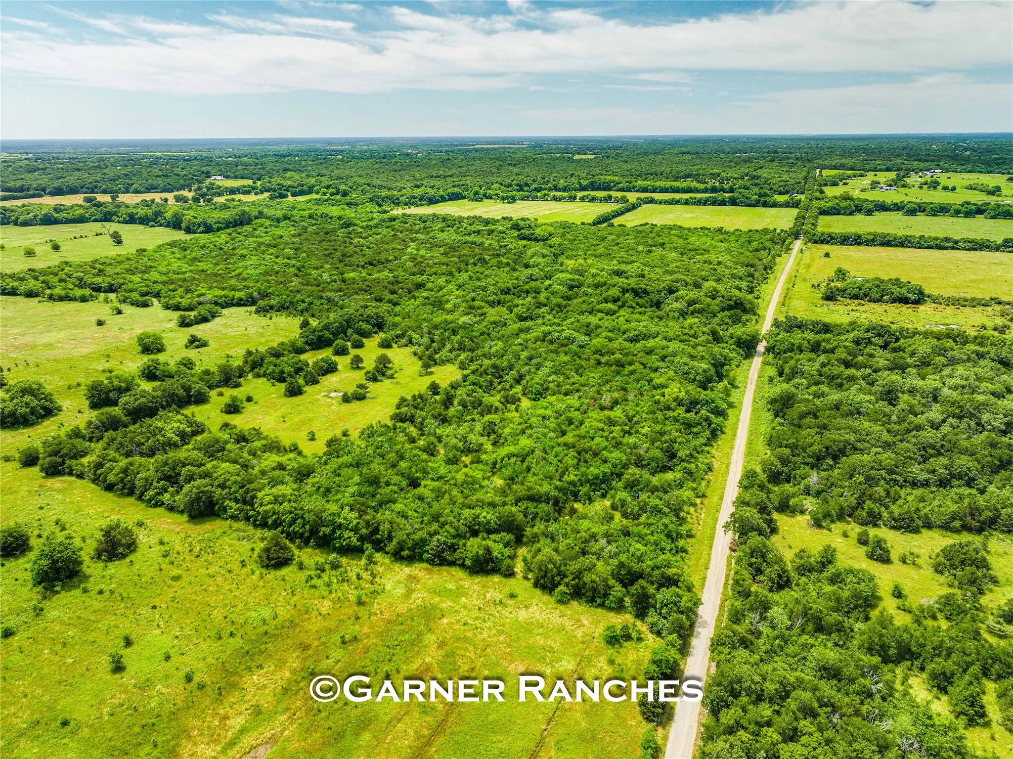 Unimproved Land For Sale in Hunt County , 0000 County Road 1019, Celeste, Texas 75423, 0, 0, Garage spaces, 0 Sqft, built in 0, mls#21380526, Real Estate Agent in Celeste, Homes For Sale in Hunt county, Homes For Sale in Celeste, Realtor in Celeste Texas, Real Estate Brokerage Independent Realty Texas, Luminita Cordes Realtor