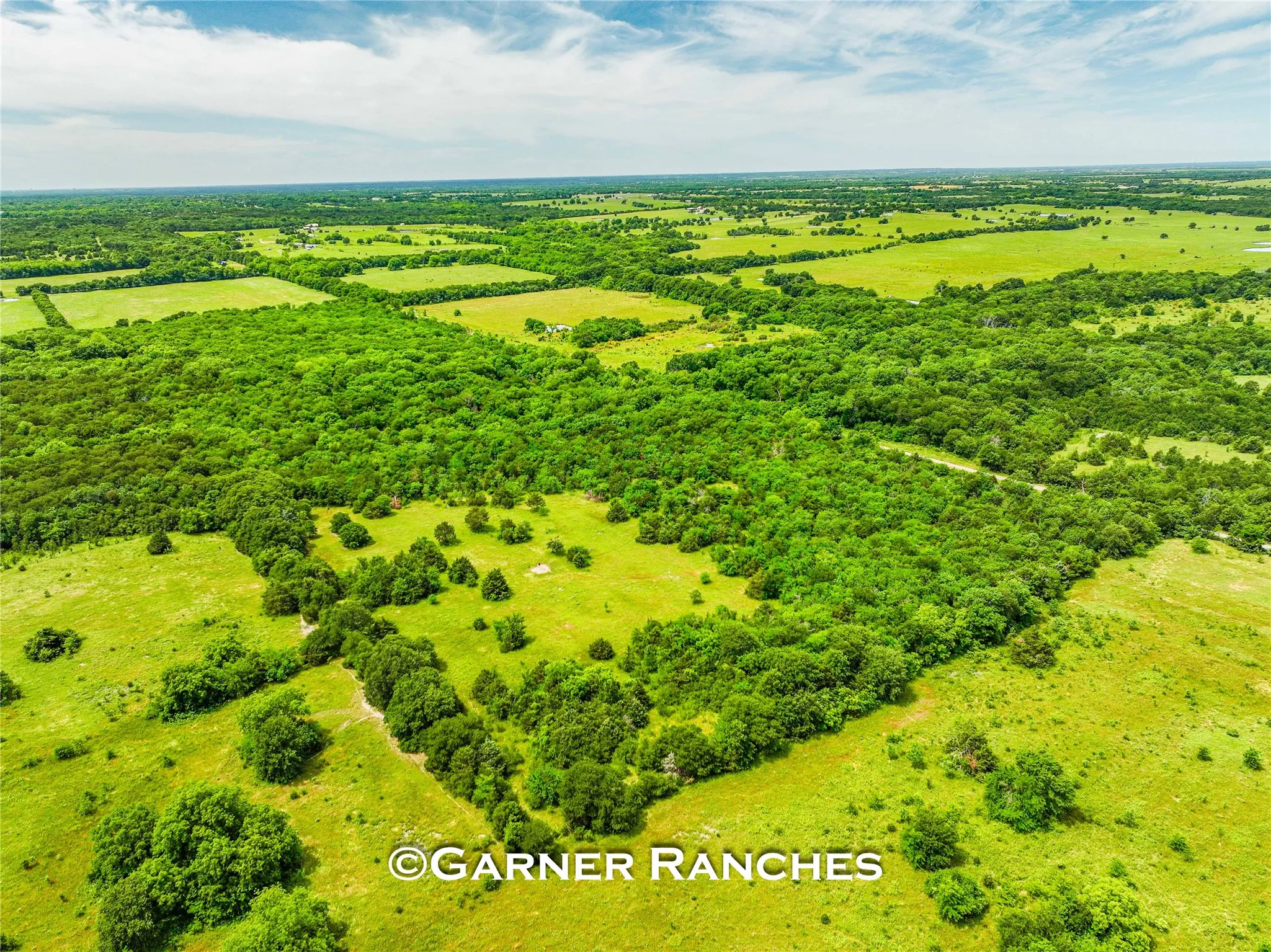 Unimproved Land For Sale in Hunt County , 0000 County Road 1019, Celeste, Texas 75423, 0, 0, Garage spaces, 0 Sqft, built in 0, mls#21380526, Real Estate Agent in Celeste, Homes For Sale in Hunt county, Homes For Sale in Celeste, Realtor in Celeste Texas, Real Estate Brokerage Independent Realty Texas, Luminita Cordes Realtor