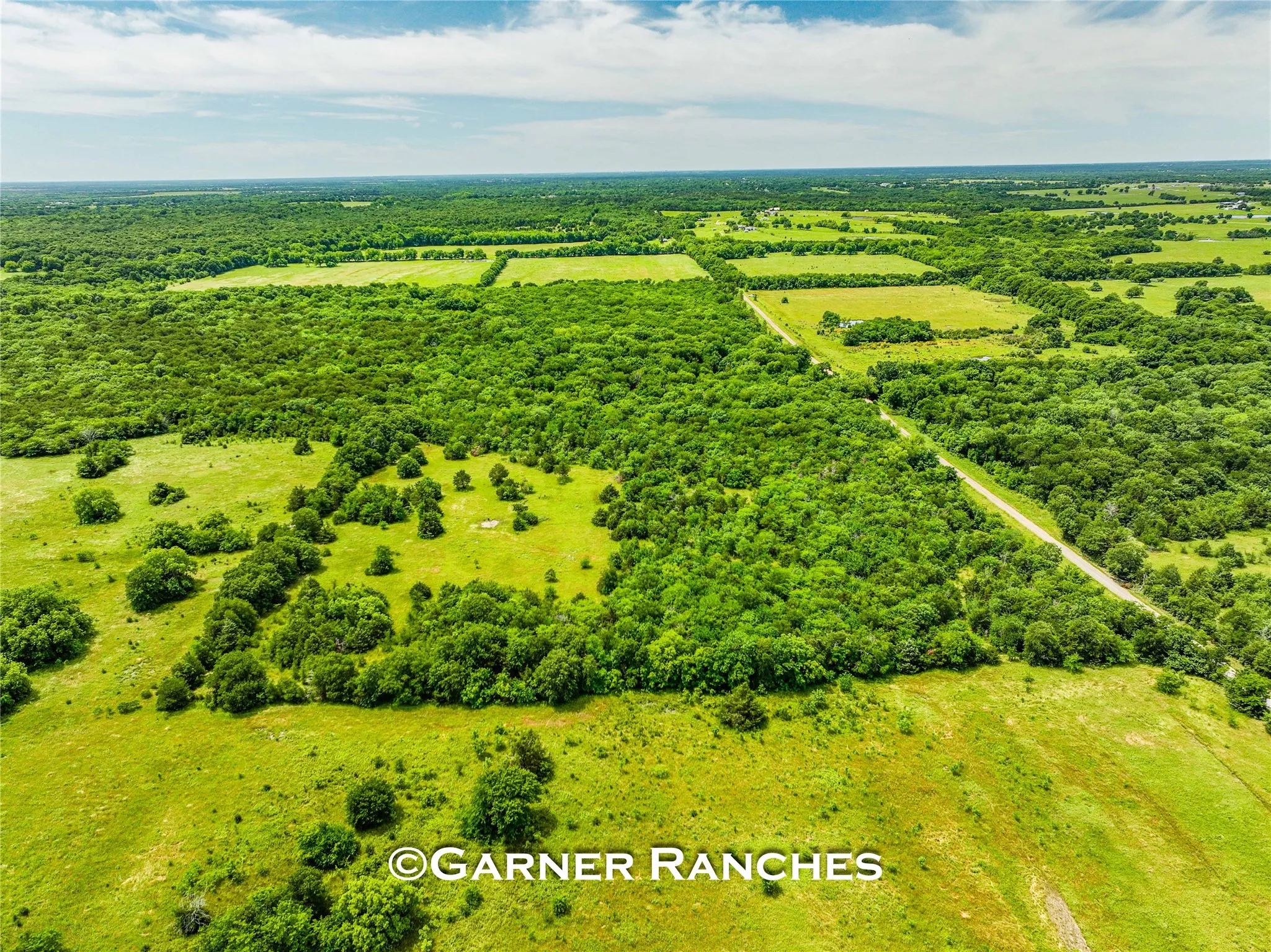 Unimproved Land For Sale in Hunt County , 0000 County Road 1019, Celeste, Texas 75423, 0, 0, Garage spaces, 0 Sqft, built in 0, mls#21380526, Real Estate Agent in Celeste, Homes For Sale in Hunt county, Homes For Sale in Celeste, Realtor in Celeste Texas, Real Estate Brokerage Independent Realty Texas, Luminita Cordes Realtor